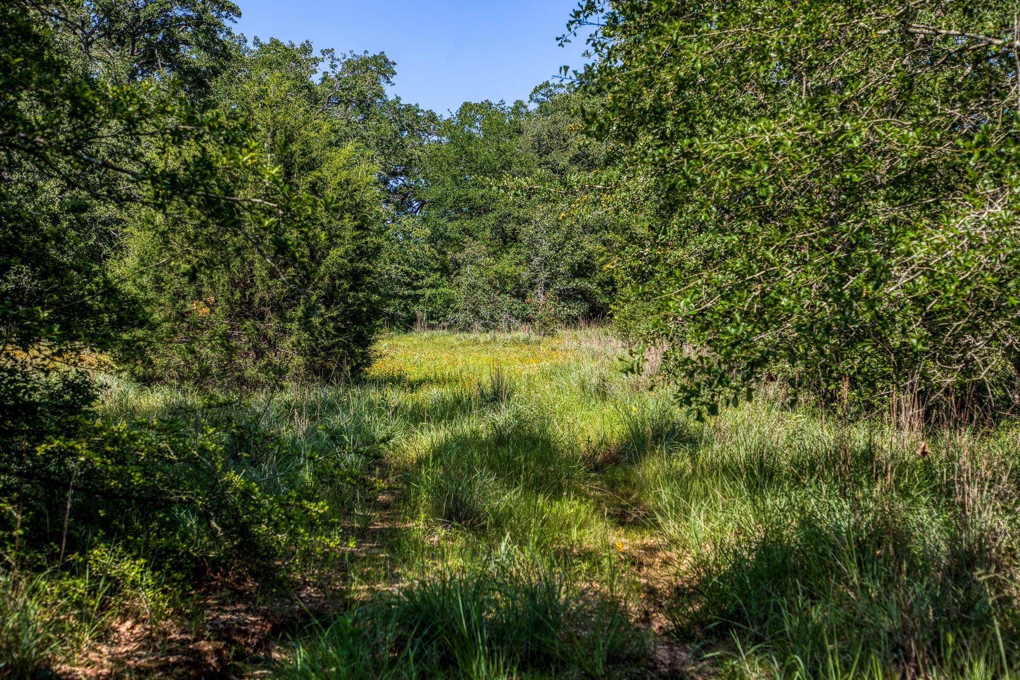 9808 Fm 908 Property Photo 18