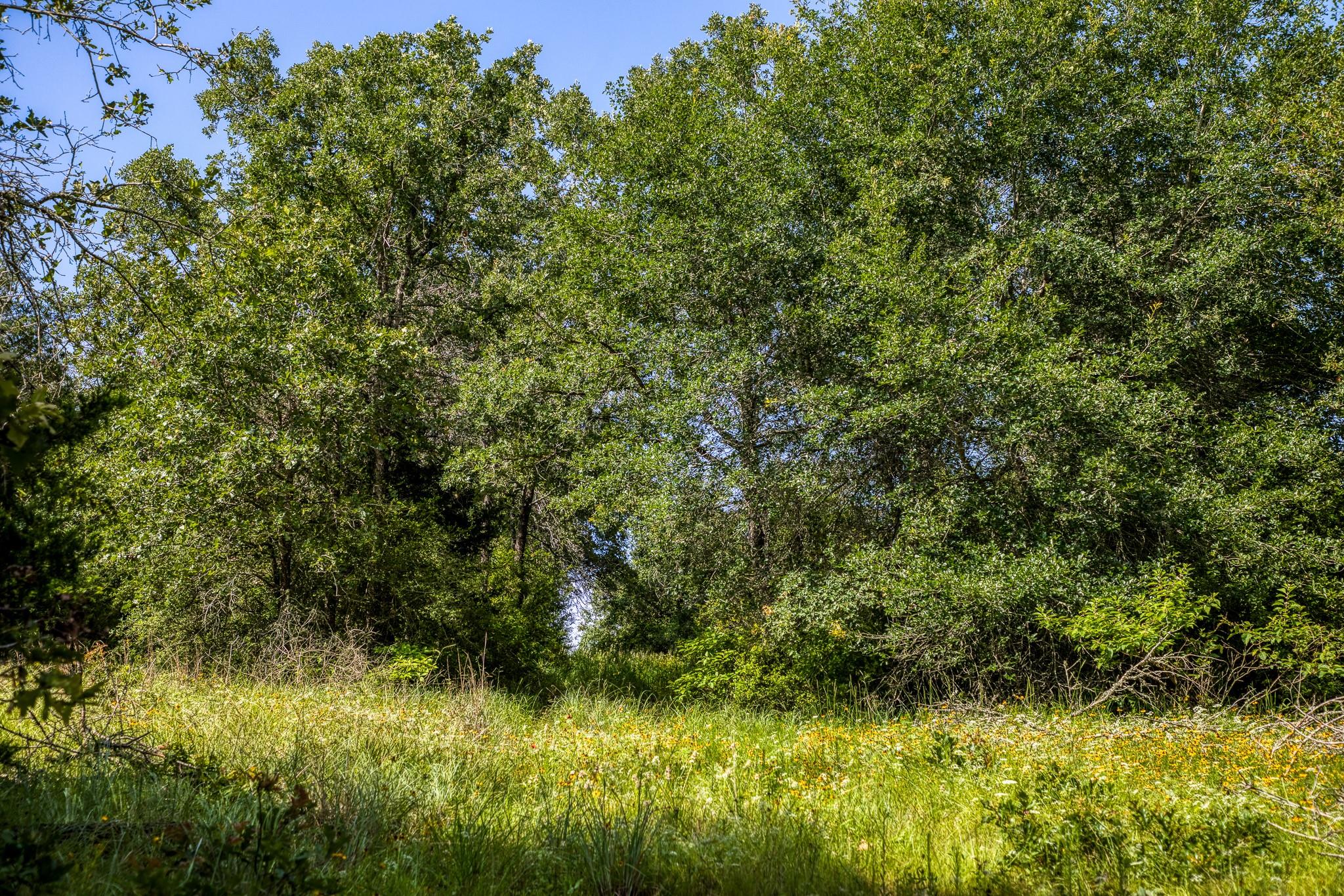 9808 Fm 908 Property Photo 20