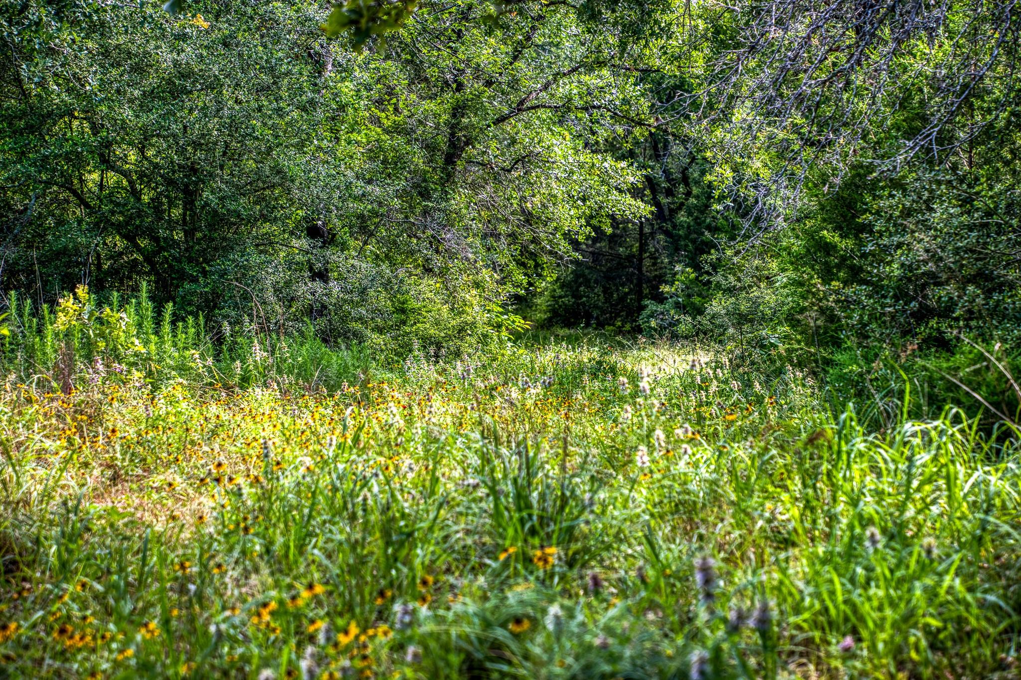 9808 Fm 908 Property Photo 21