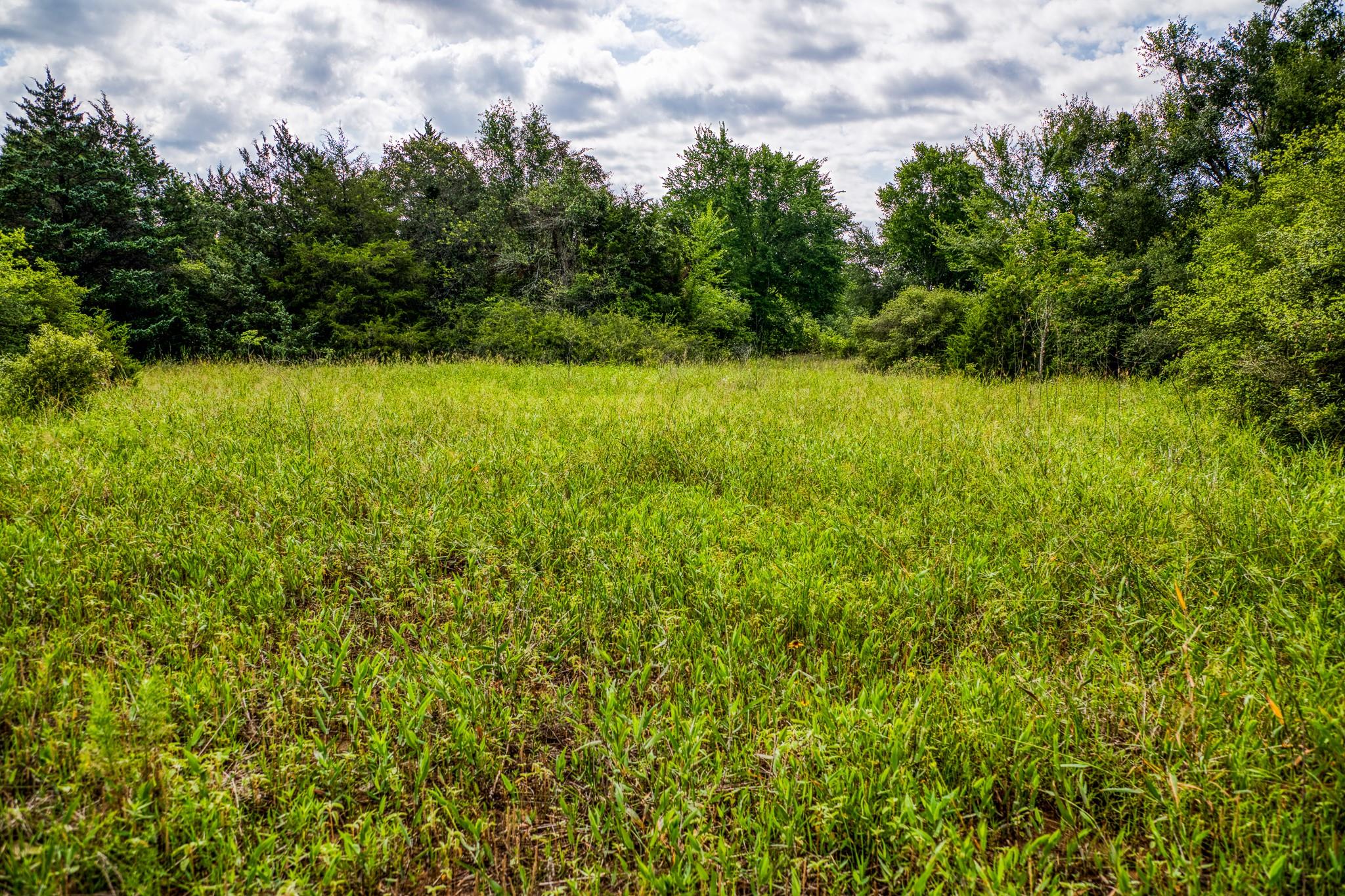 9808 Fm 908 Property Photo 24