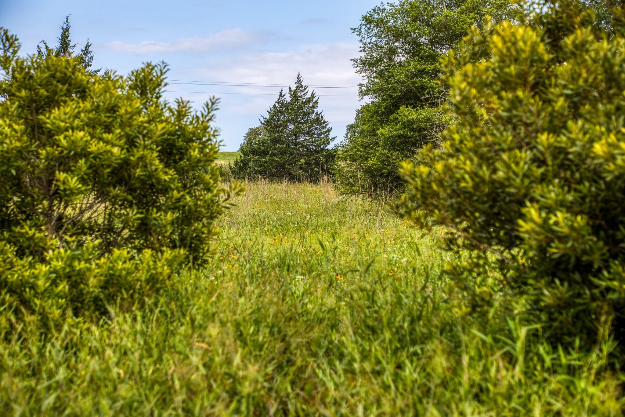 9808 Fm 908 Property Photo 25