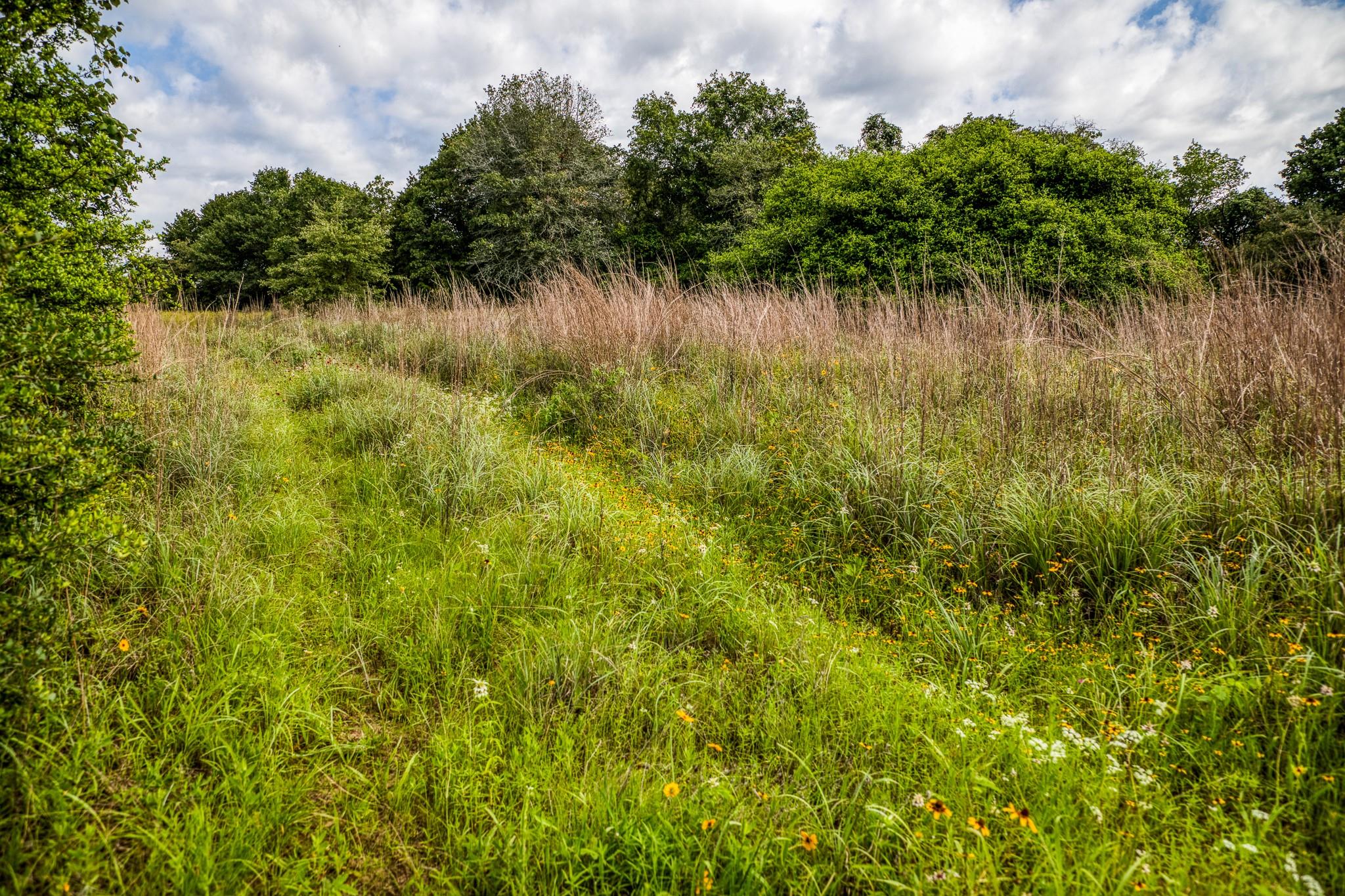 9808 Fm 908 Property Photo 26