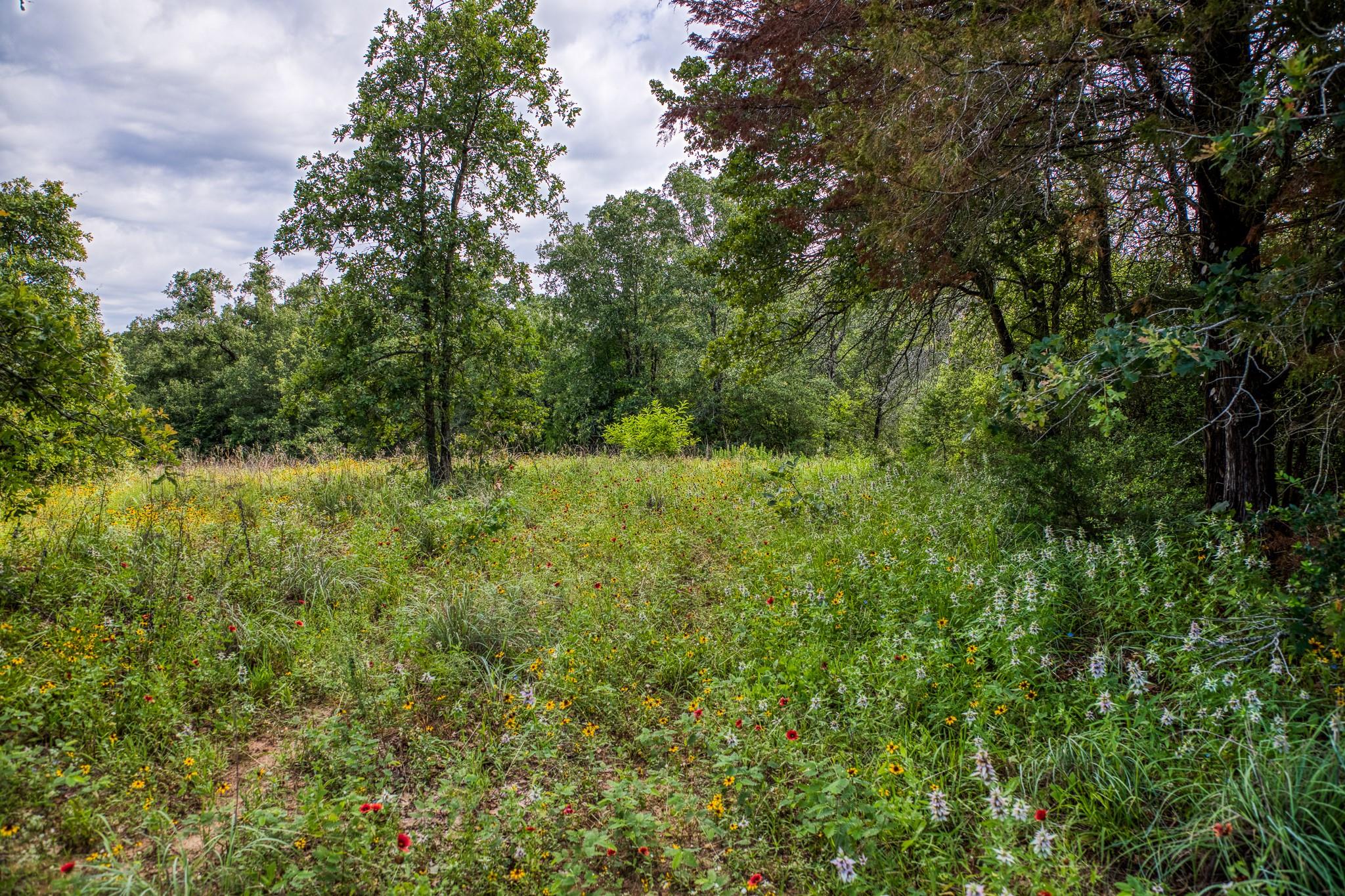9808 Fm 908 Property Photo 27
