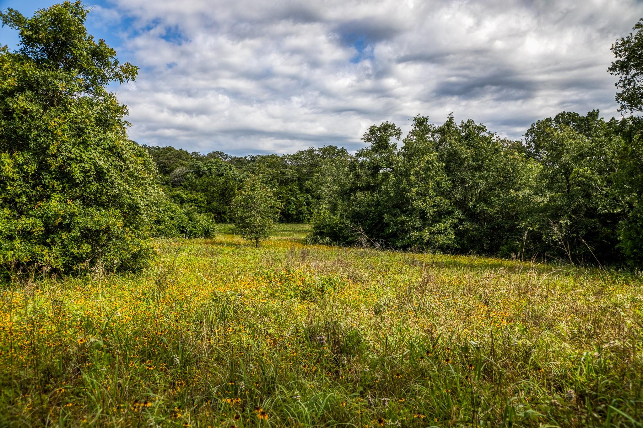 9808 Fm 908 Property Photo 28
