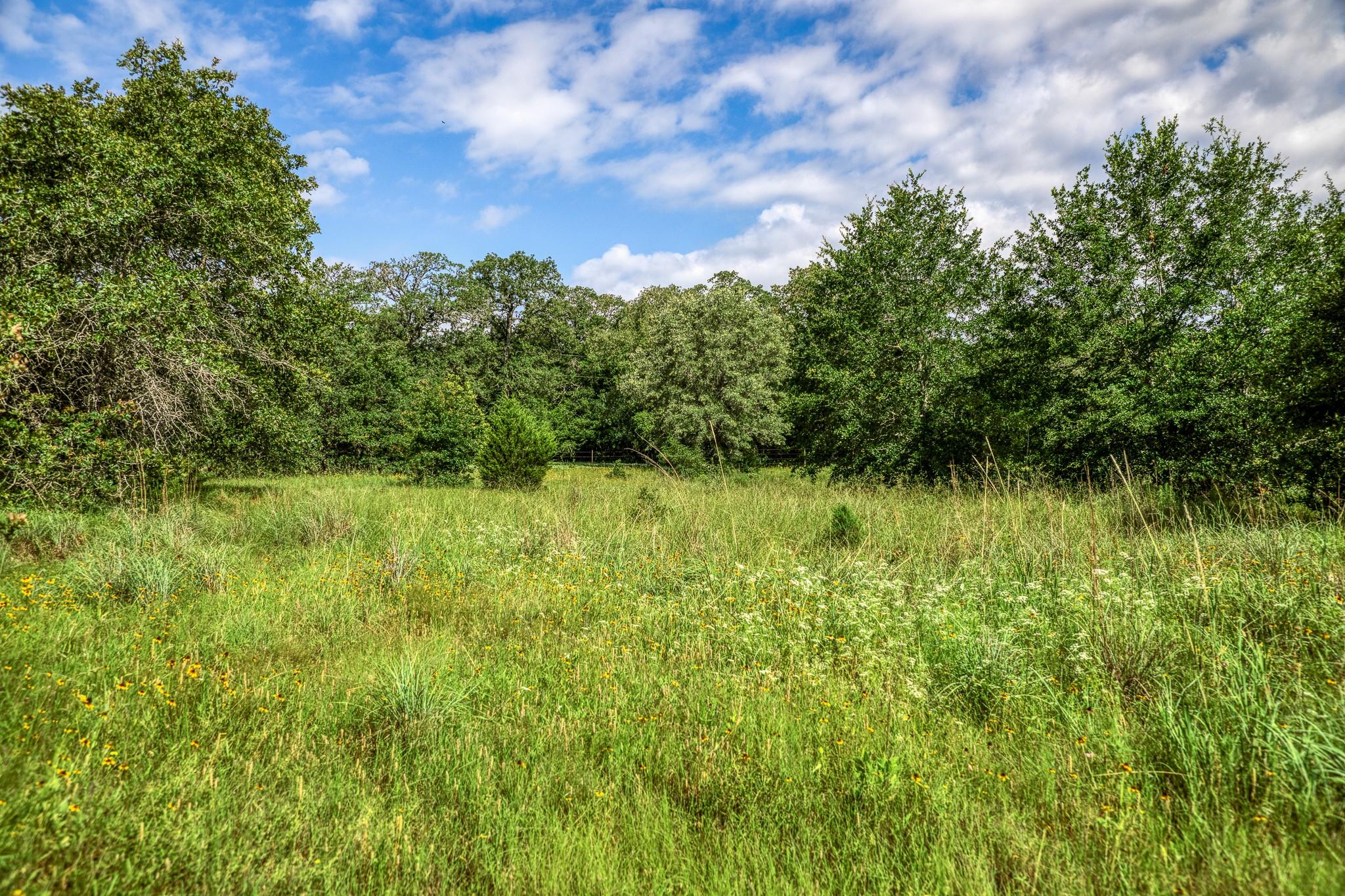 9808 Fm 908 Property Photo 29