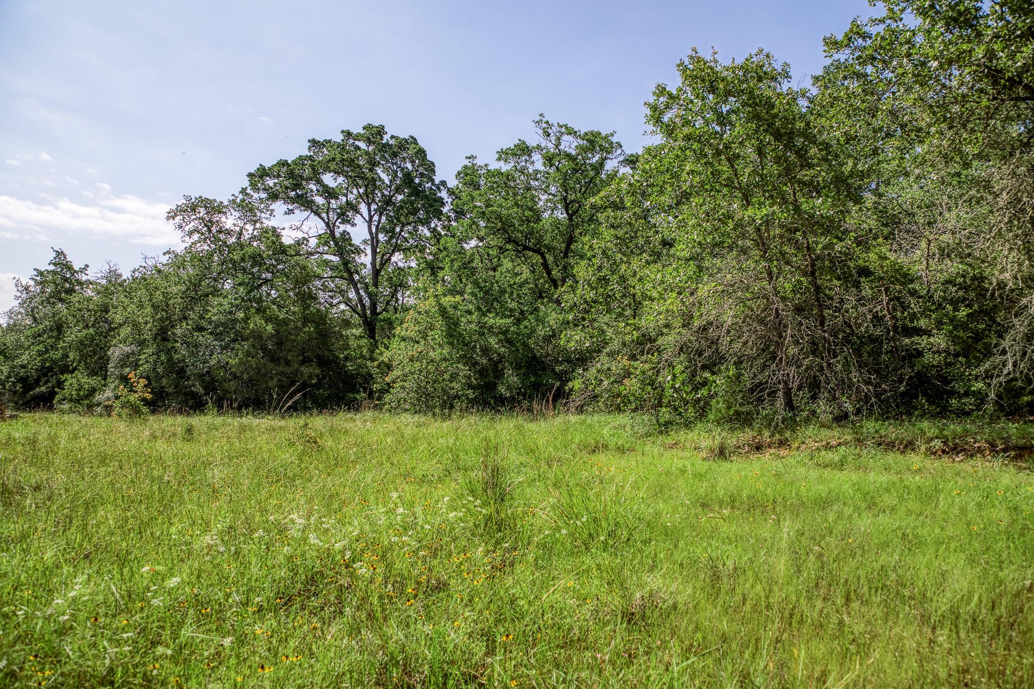 9808 Fm 908 Property Photo 30