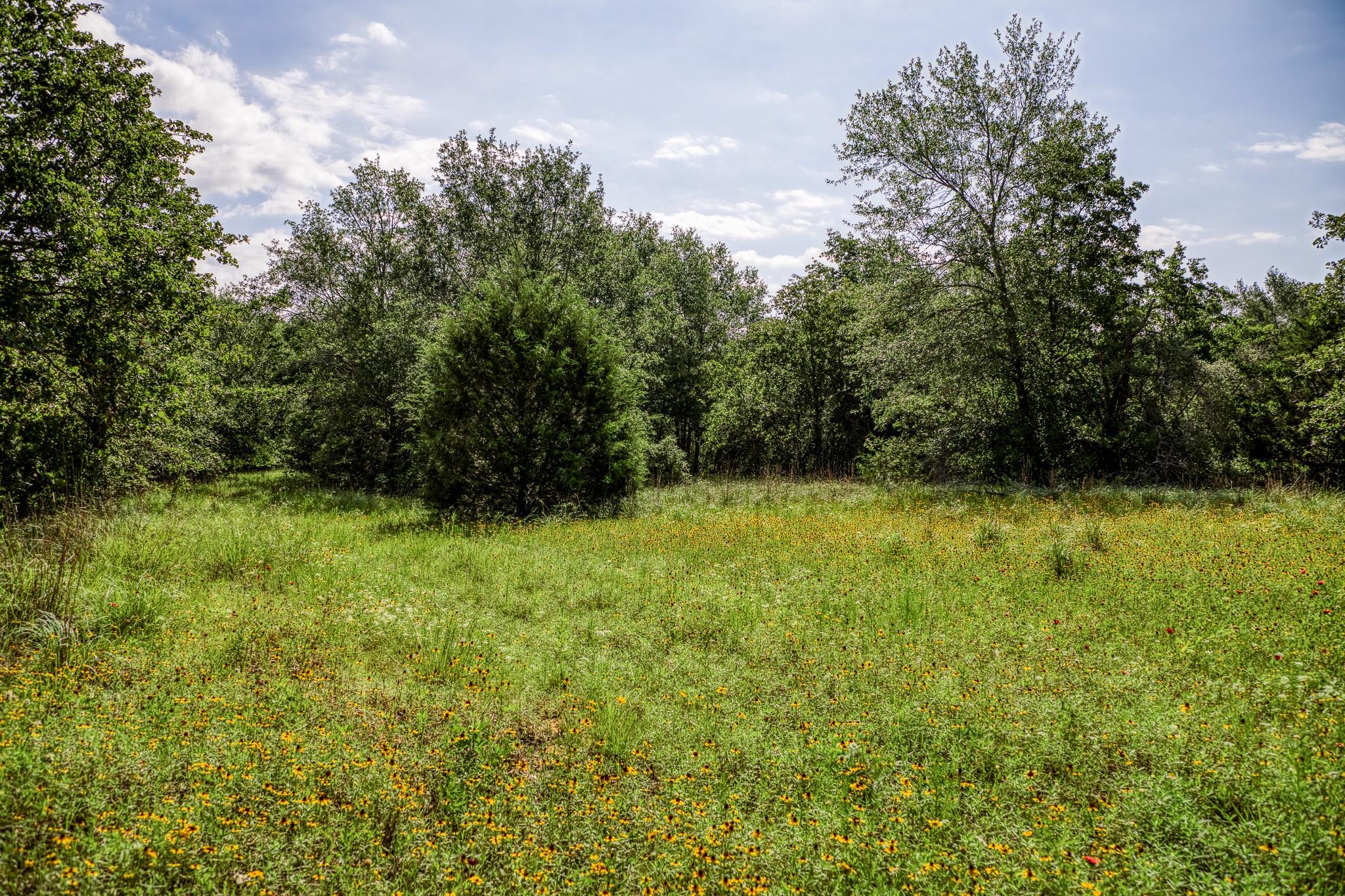 9808 Fm 908 Property Photo 32