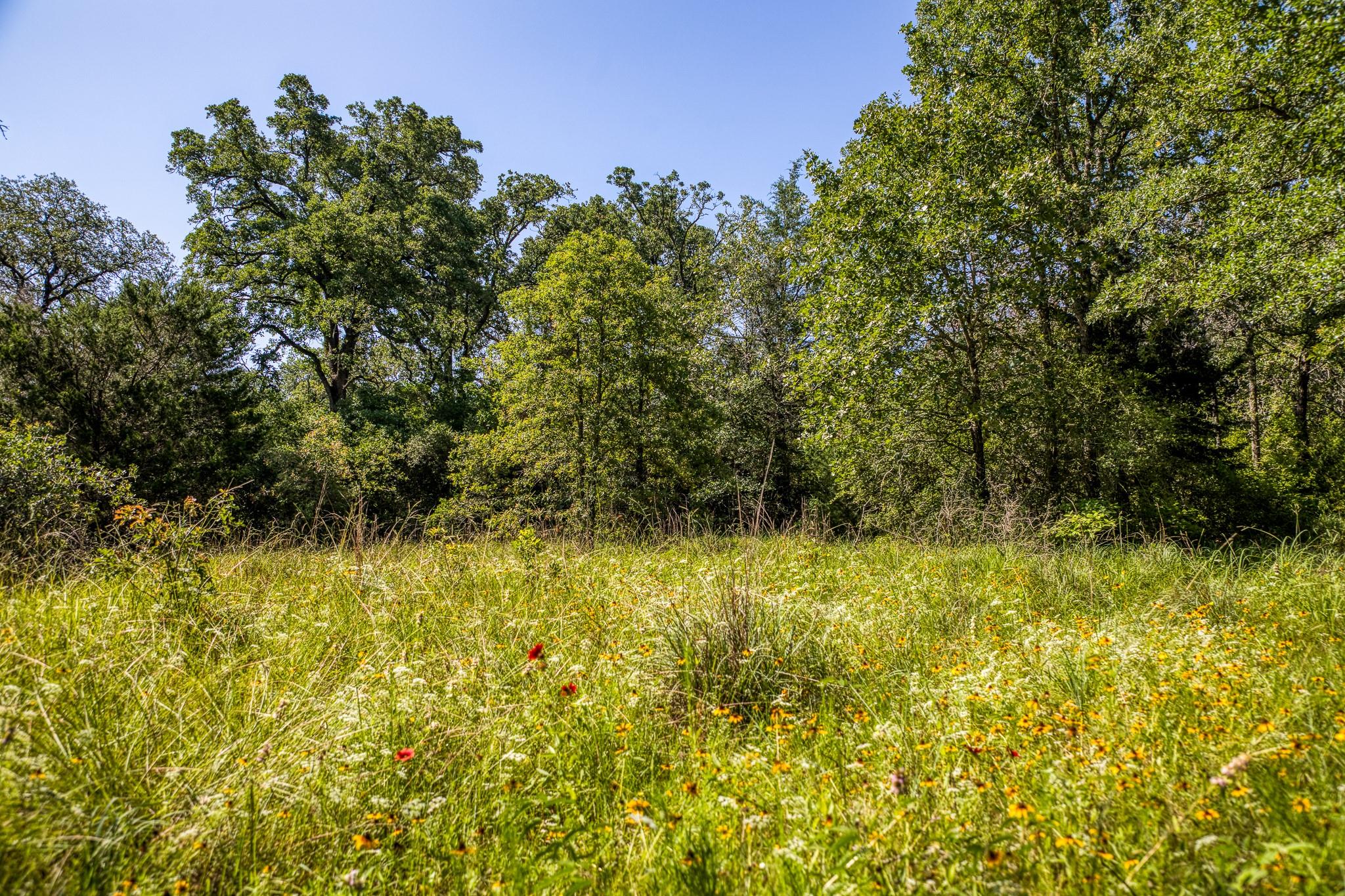 9808 Fm 908 Property Photo 33