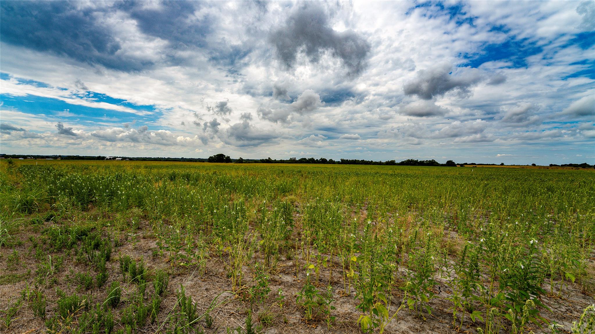 Tbd Fm 3061 None #b Property Photo 2