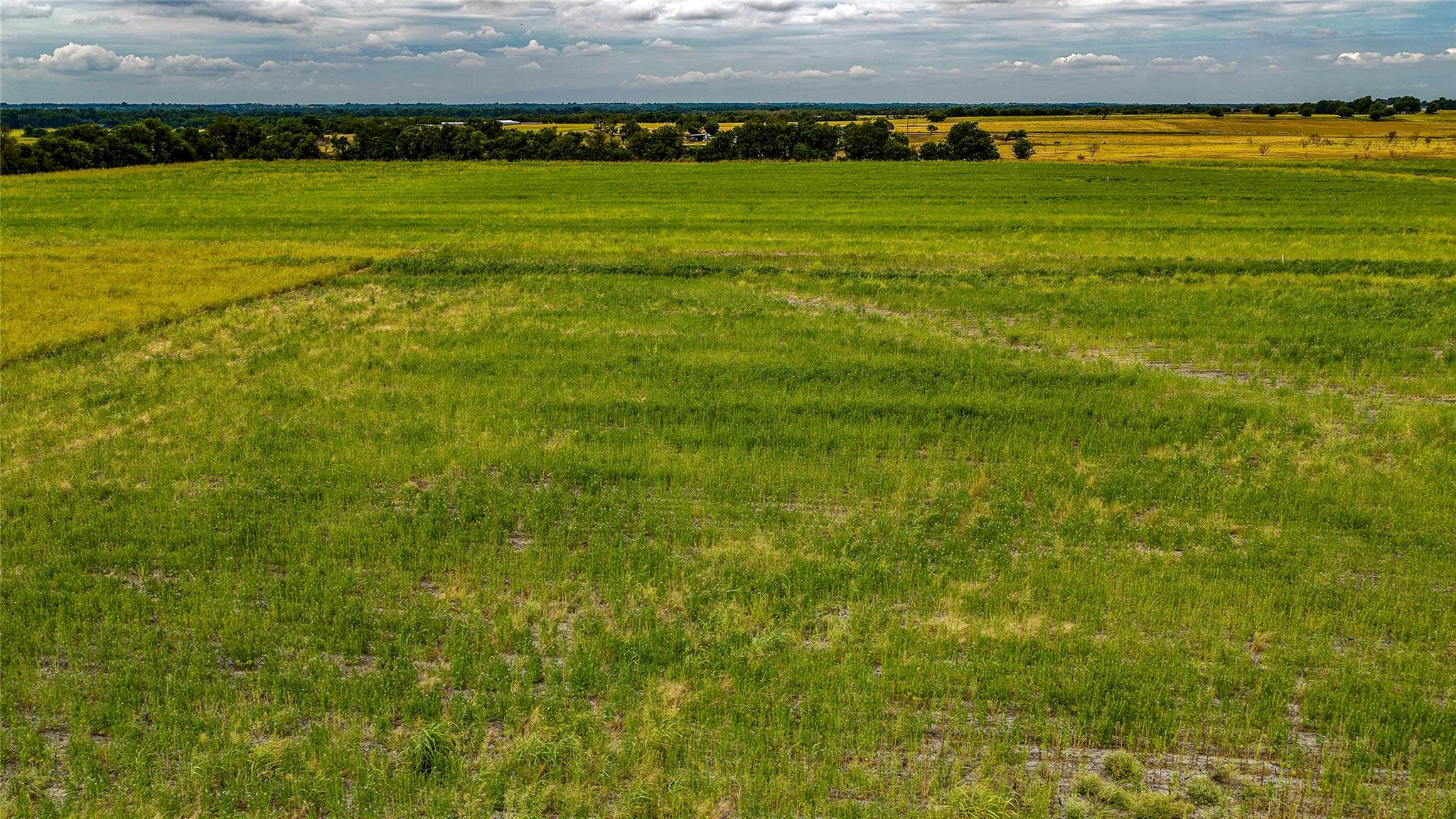 Tbd Fm 3061 None #b Property Photo 5
