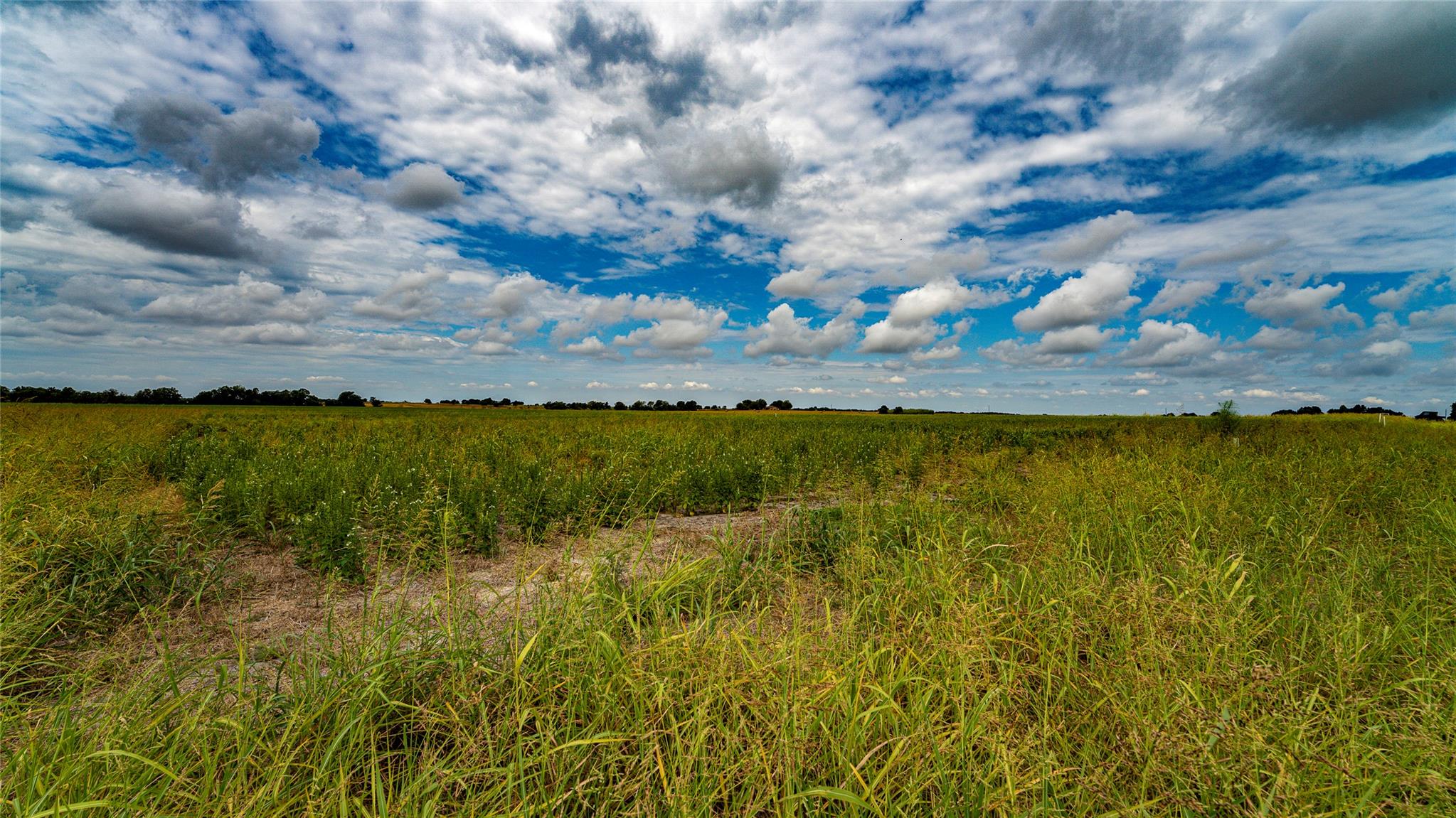 Tbd Fm 3061 None #b Property Photo 8