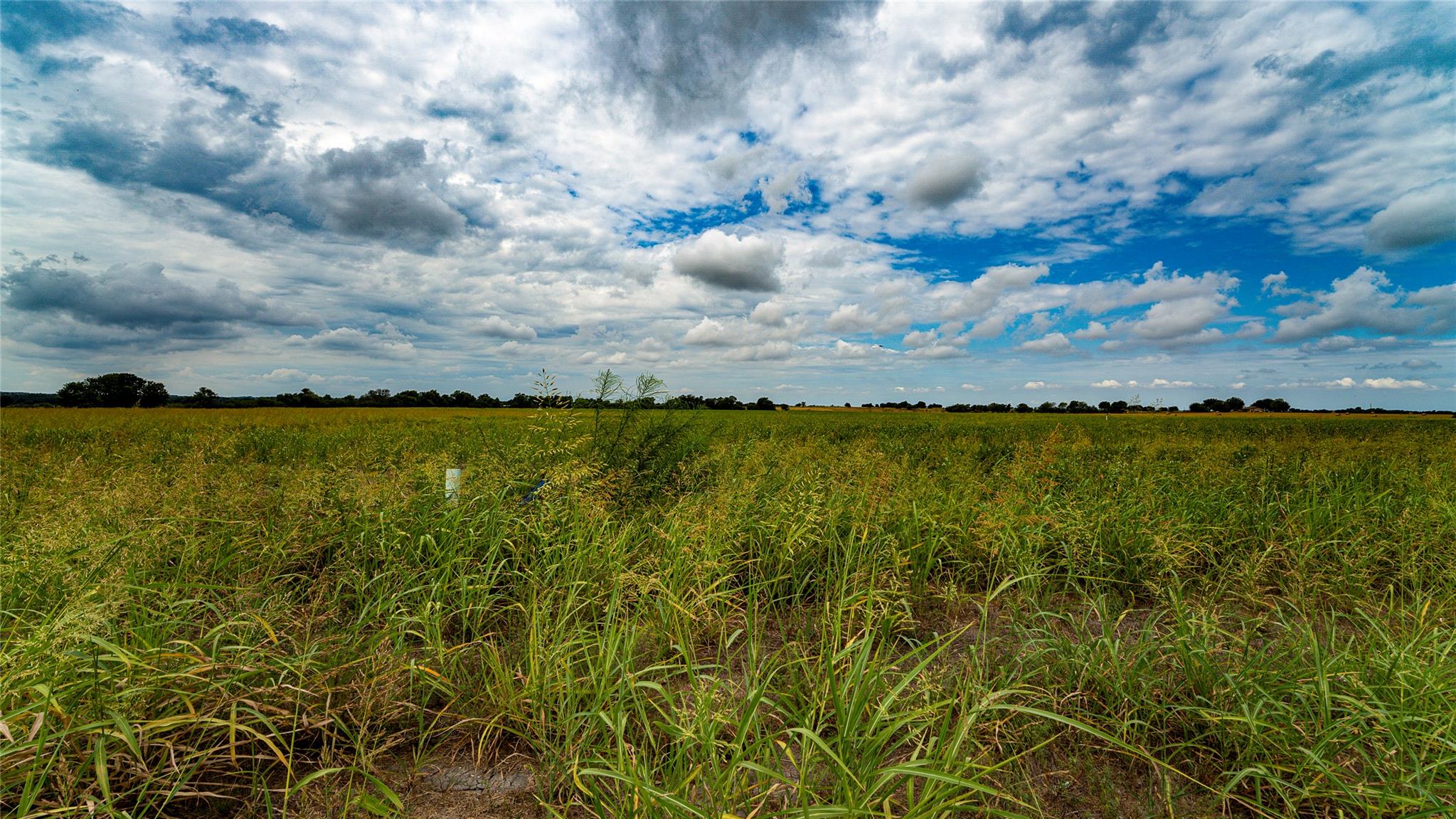 Tbd Fm 3061 None #b Property Photo 10