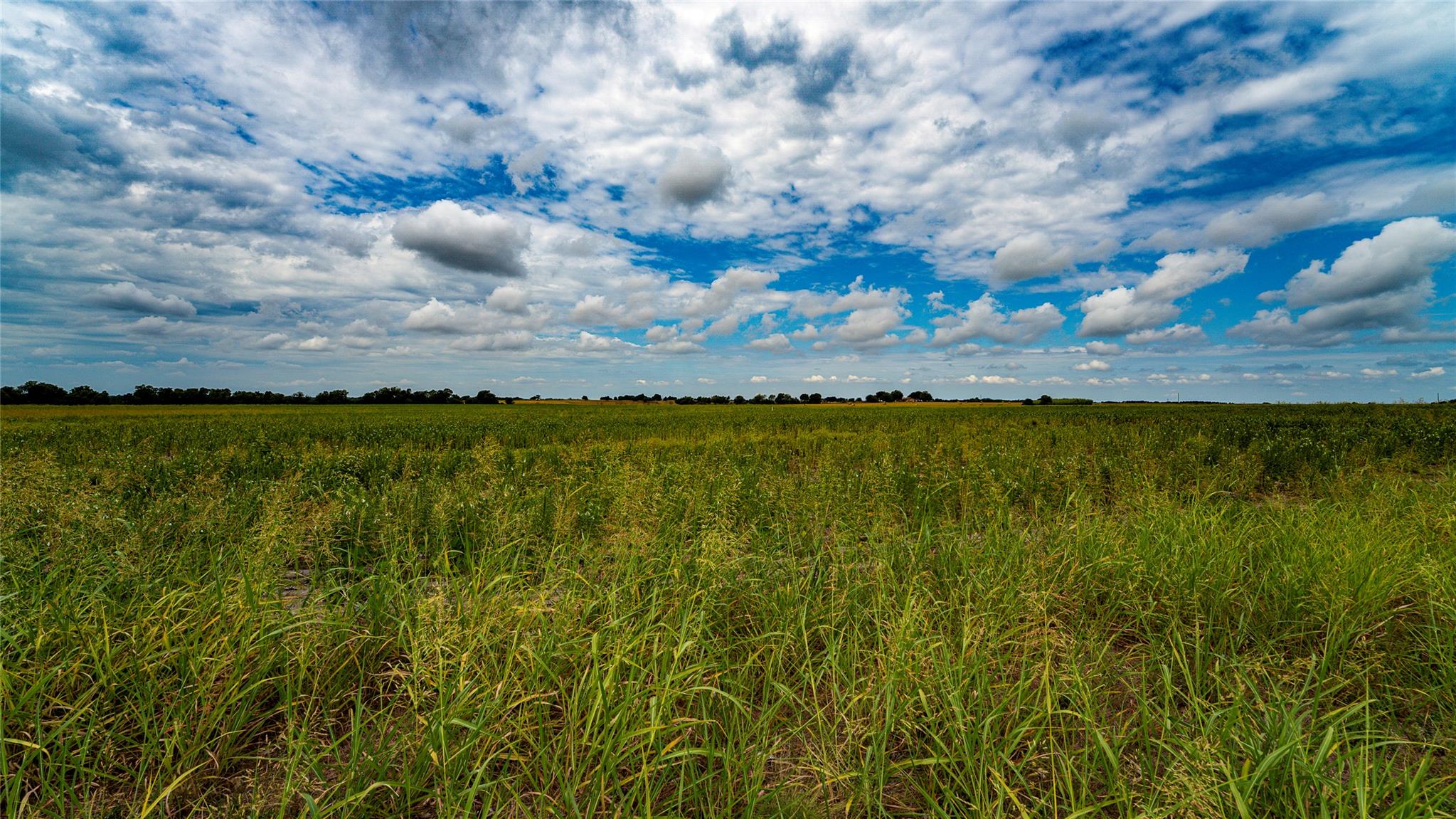 Tbd Fm 3061 None #b Property Photo 13