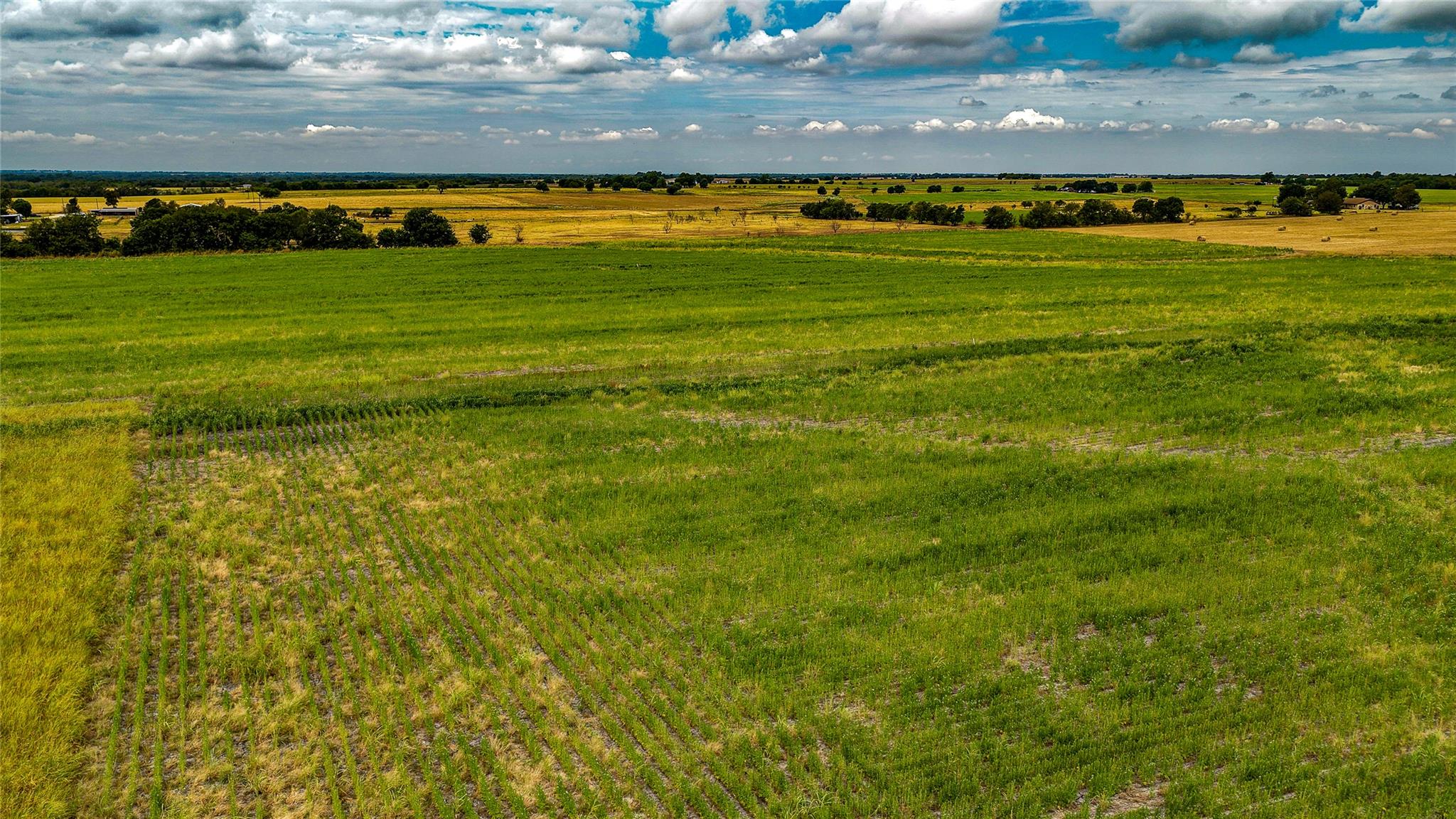 Tbd Fm 3061 None #b Property Photo 19