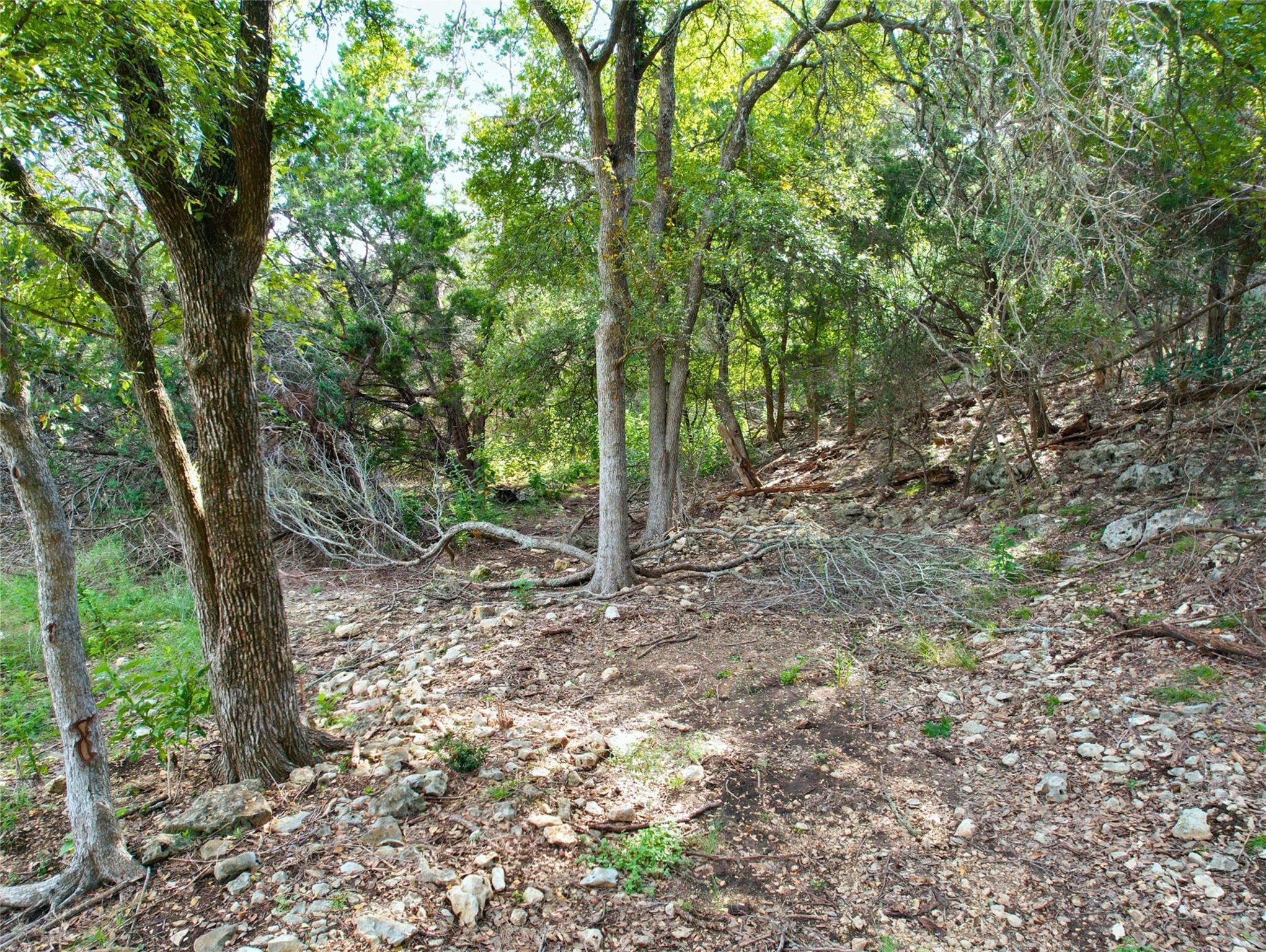 211 Pleasant Valley Rd Property Photo 3