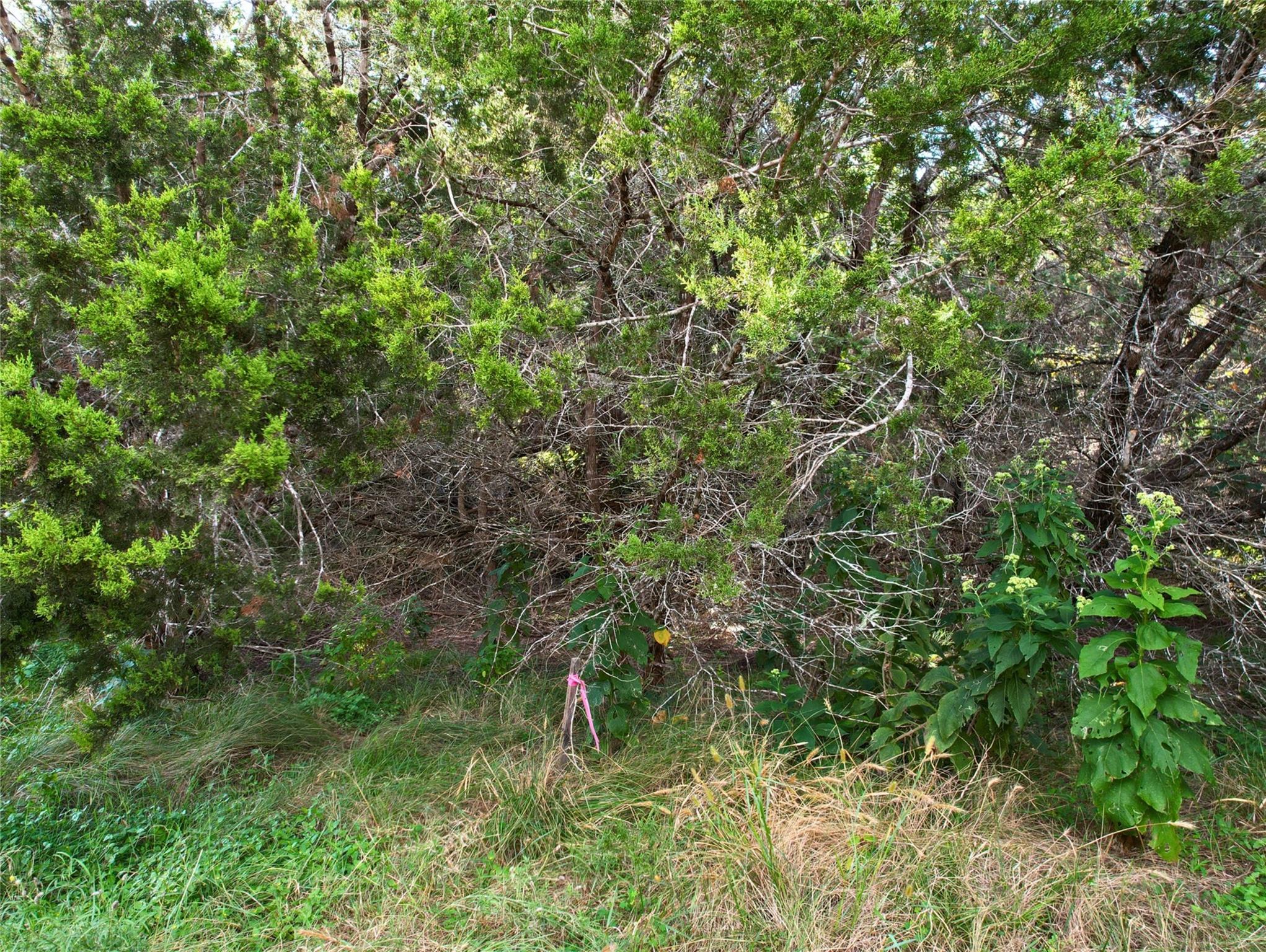 211 Pleasant Valley Rd Property Photo 5