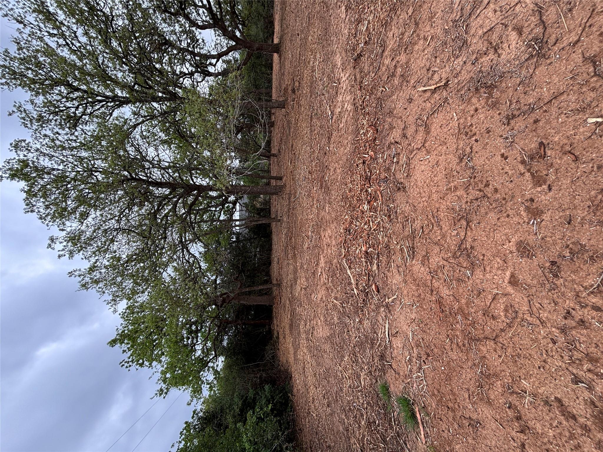 1686 Fm 2104 Property Photo 5