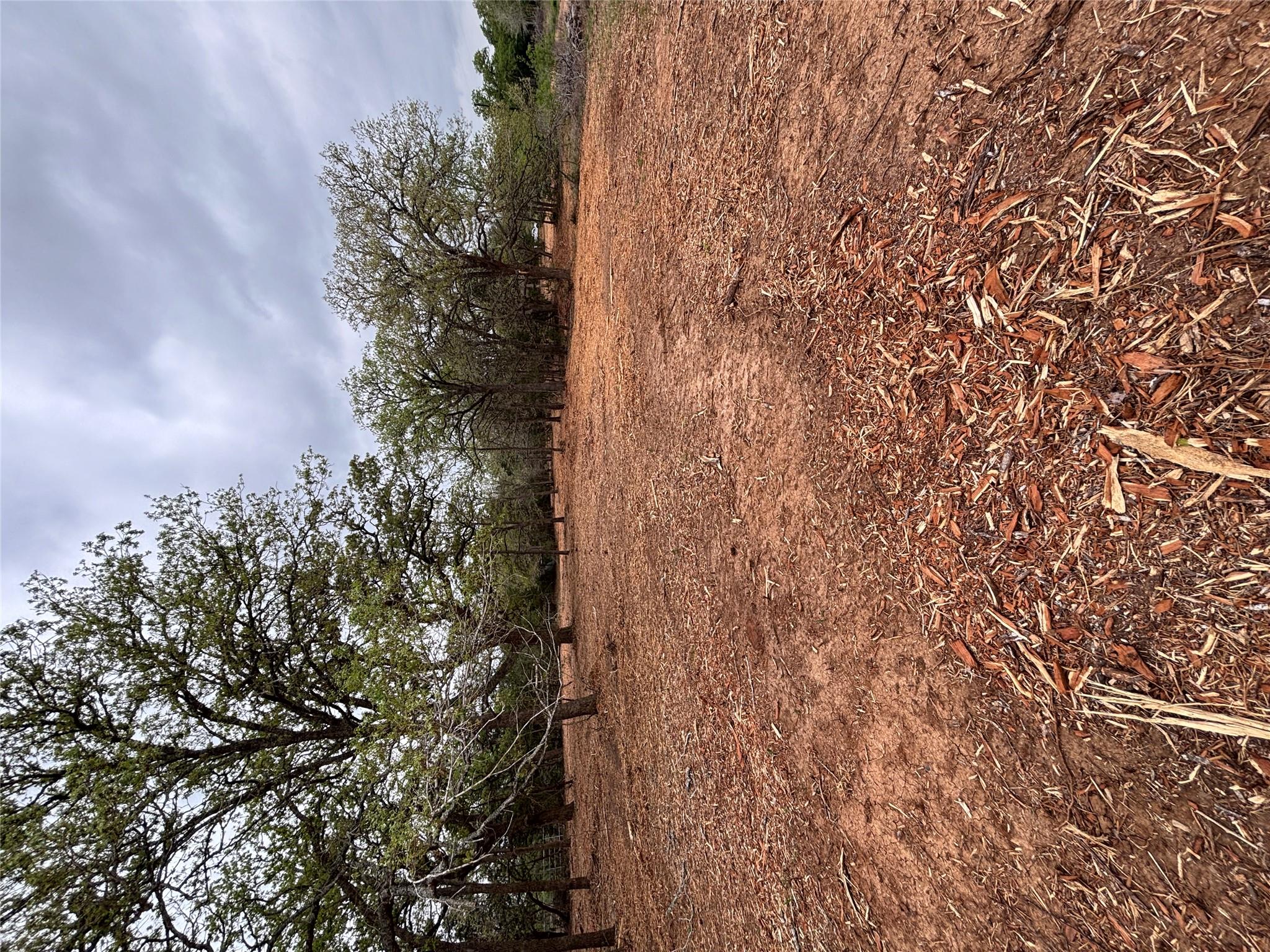 1686 Fm 2104 Property Photo 6