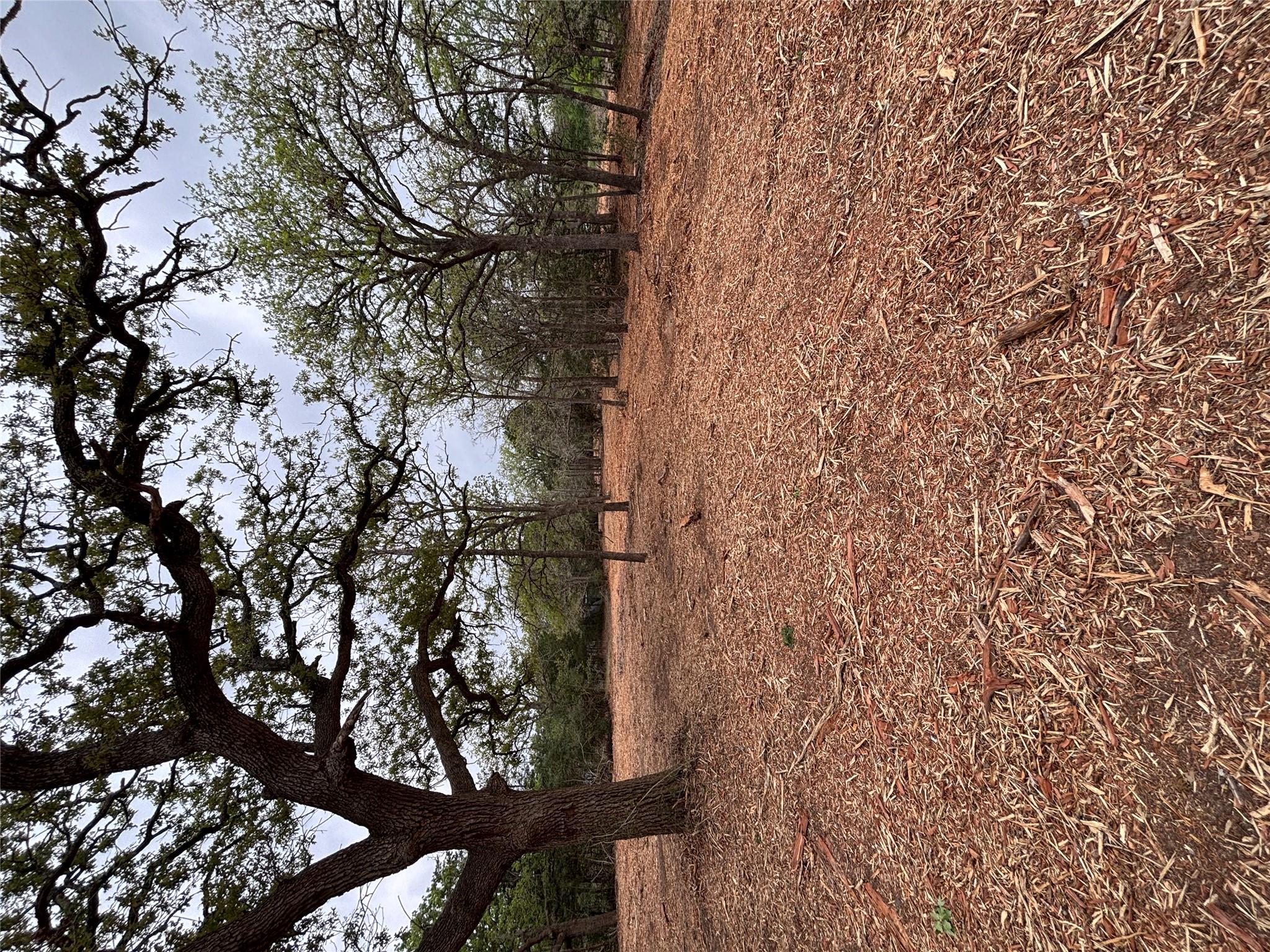 1686 Fm 2104 Property Photo 7