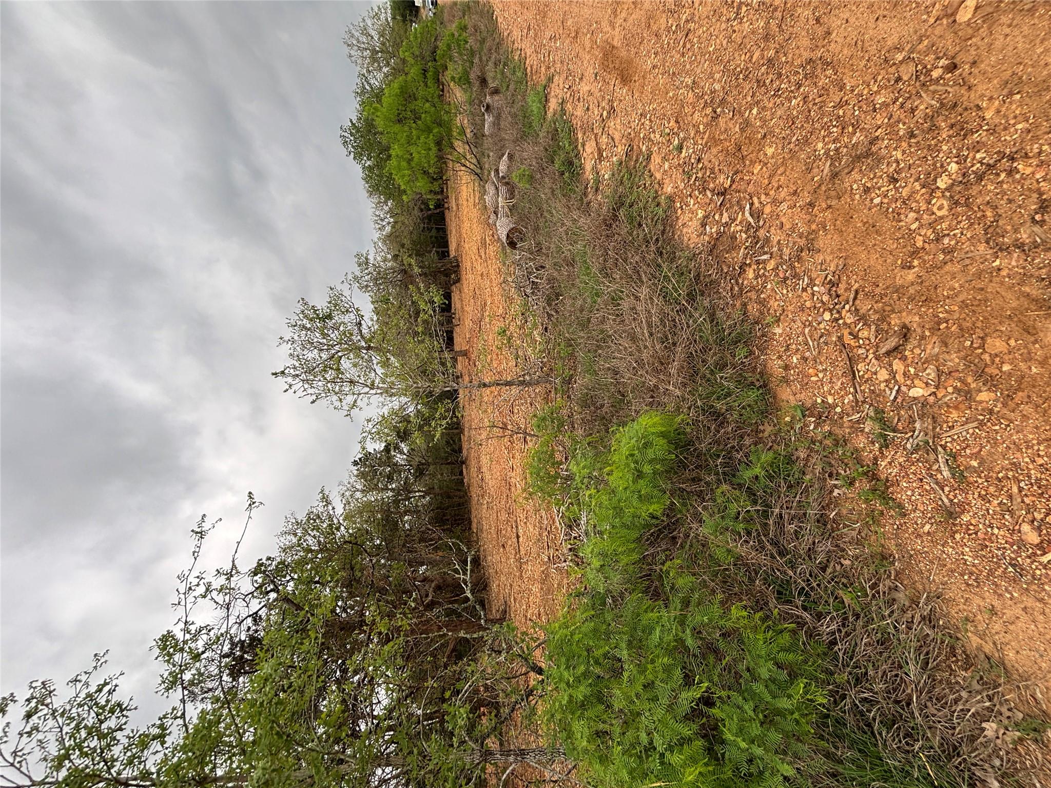 1686 Fm 2104 Property Photo 8