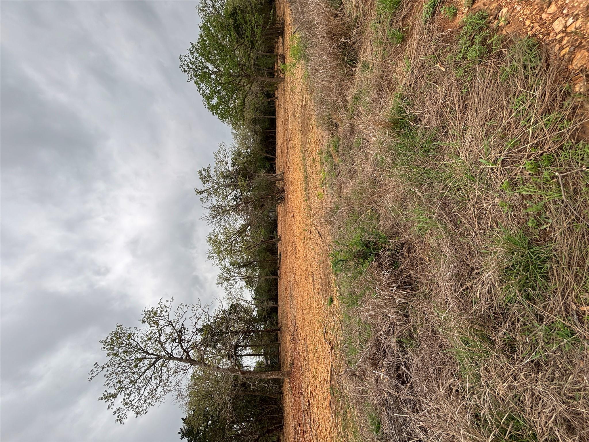 1686 Fm 2104 Property Photo 9