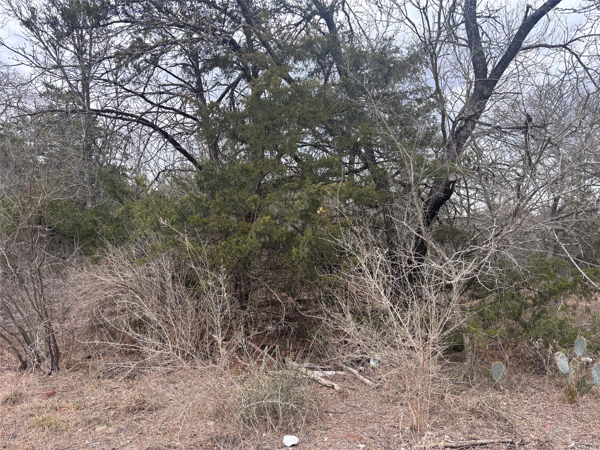 Tbd Pearson Rd Property Photo 1