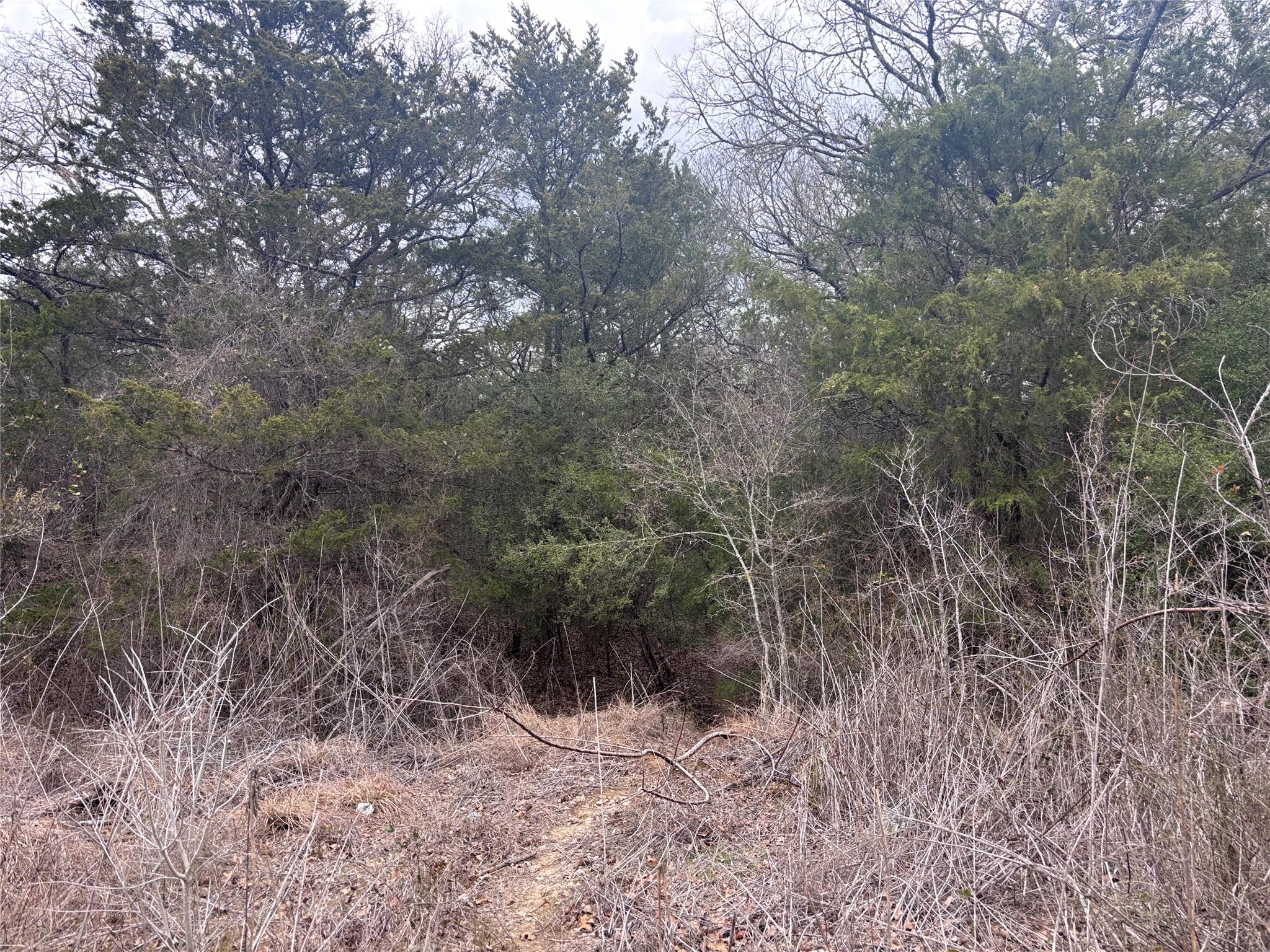 Tbd Pearson Rd Property Photo 2