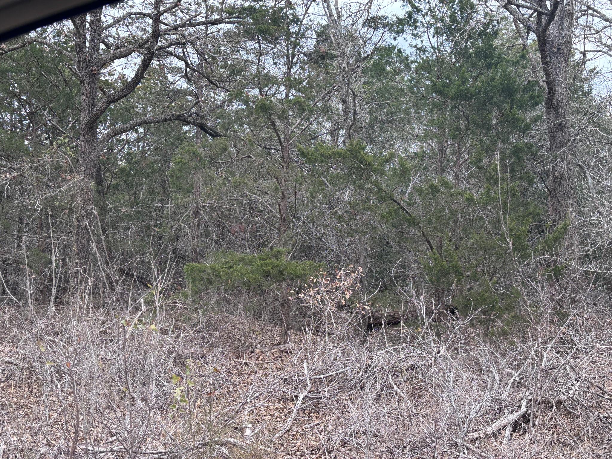 Tbd Pearson Rd Property Photo 3