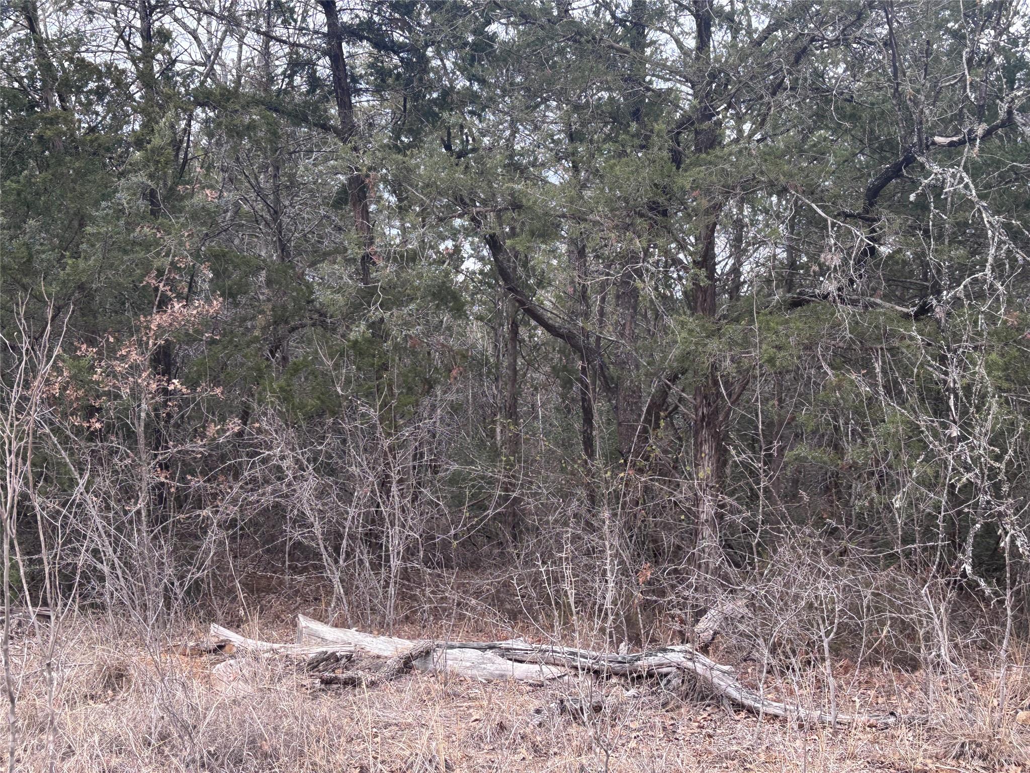 Tbd Pearson Rd Property Photo 4