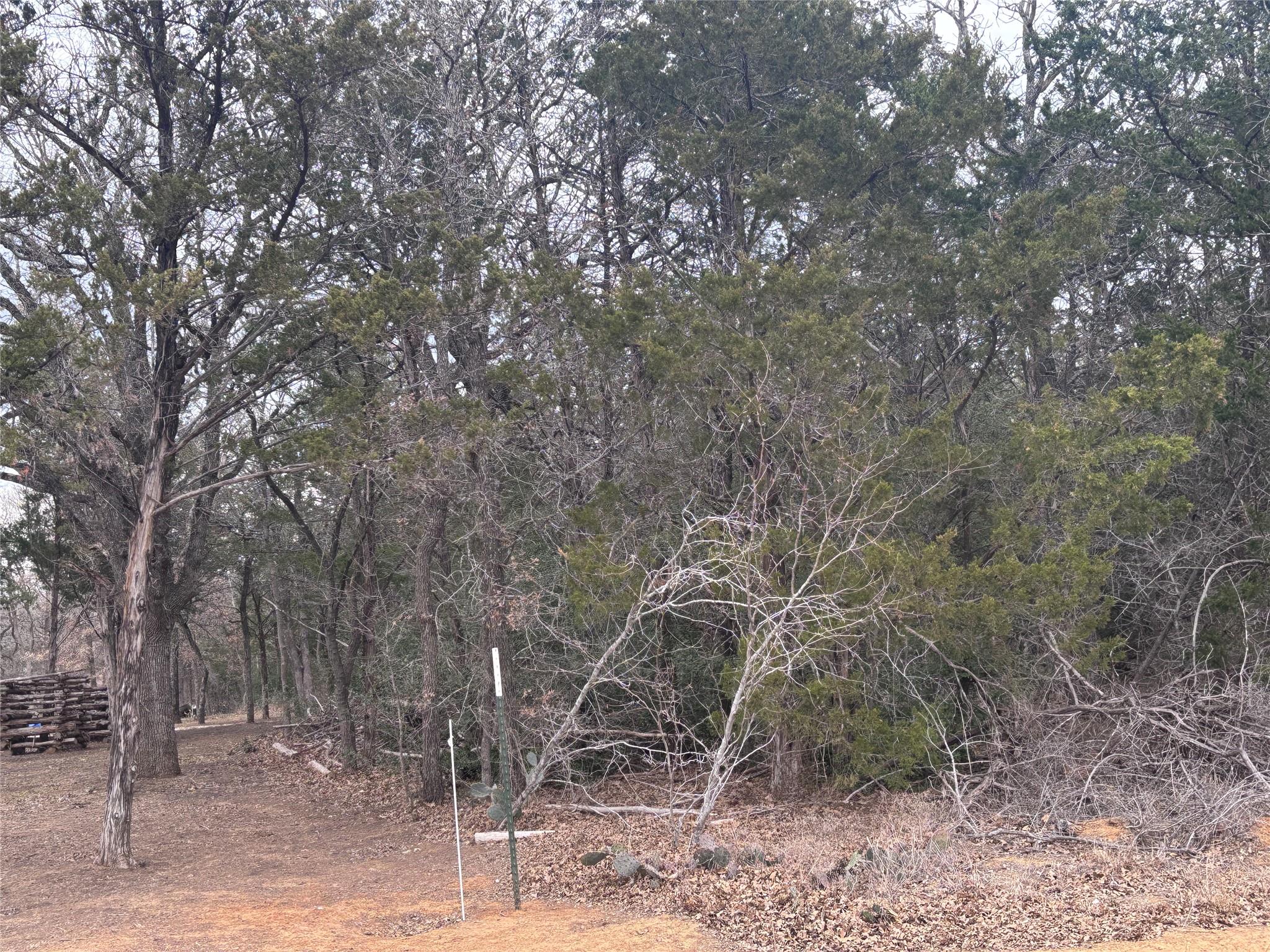 Tbd Pearson Rd Property Photo 6