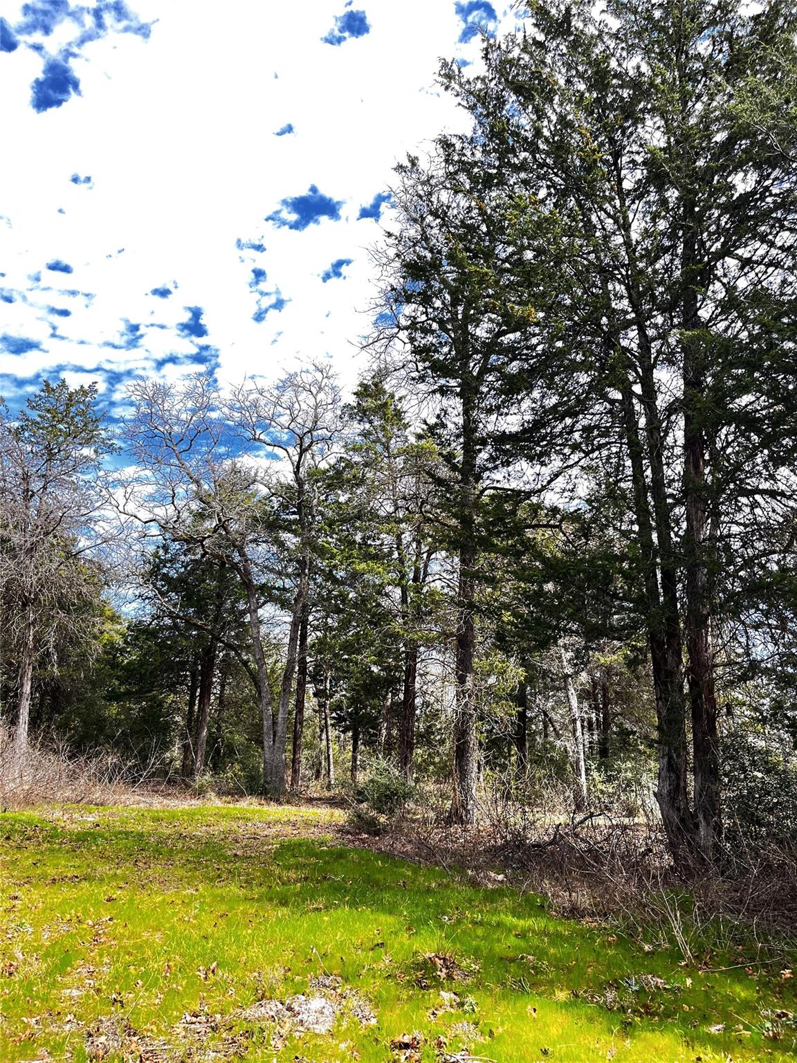 Lot 15 Cr 322 Property Photo