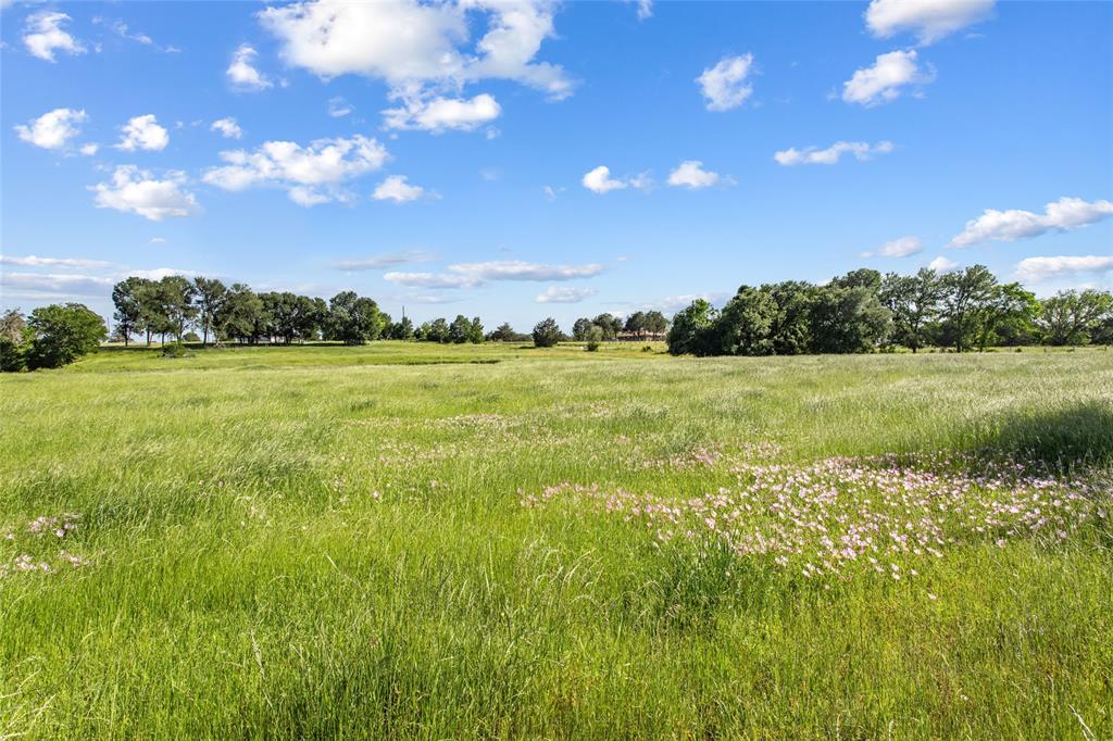 Tbd (tract 4) Fm 2239 Property Photo 2