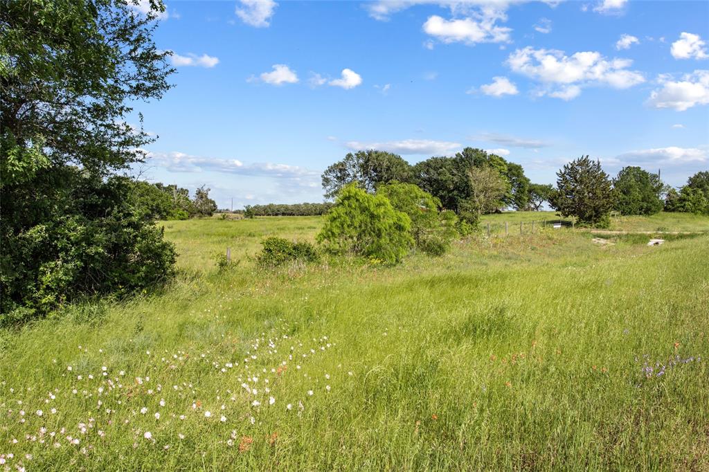 Tbd (tract 4) Fm 2239 Property Photo 4