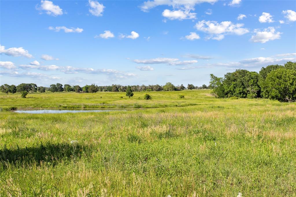 Tbd (tract 4) Fm 2239 Property Photo 6