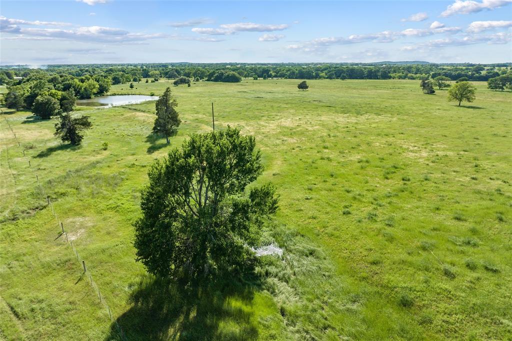 Tbd (tract 4) Fm 2239 Property Photo 23