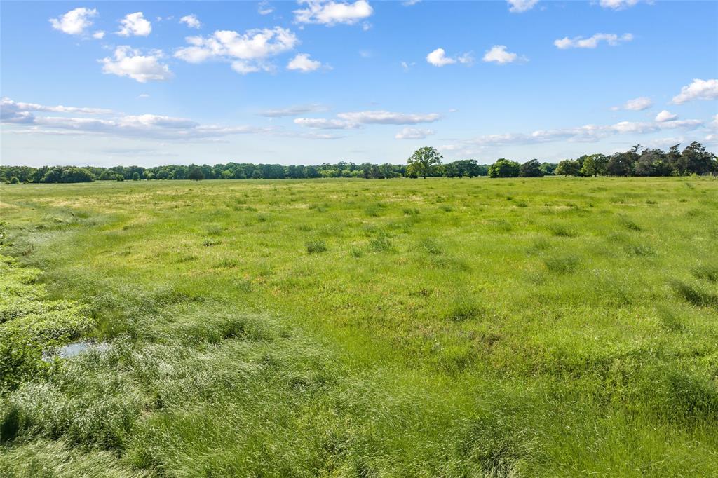 Tbd (tract 4) Fm 2239 Property Photo 24