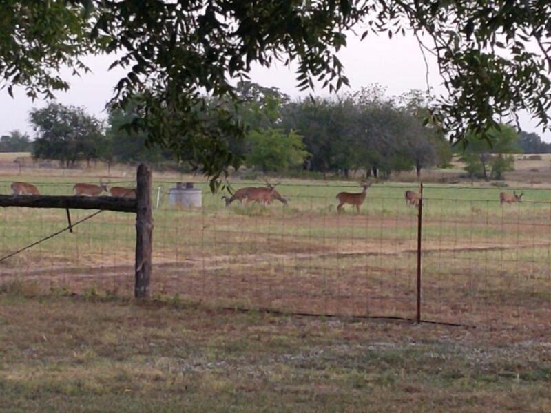 10905 S. Fm 1915 Fm 1915 Hwy Property Photo 1