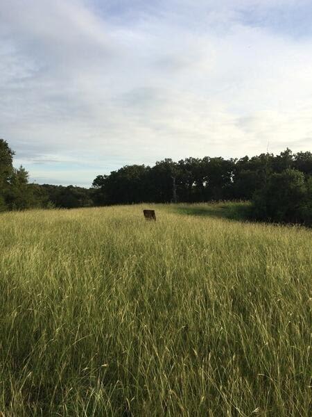 10905 S. Fm 1915 Fm 1915 Hwy Property Photo 16