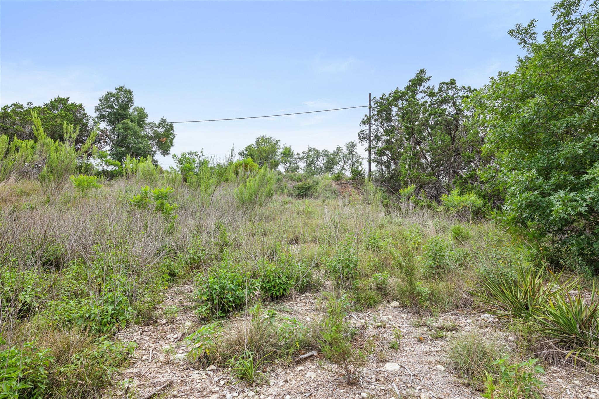 21400 Bison Trl Property Photo 14