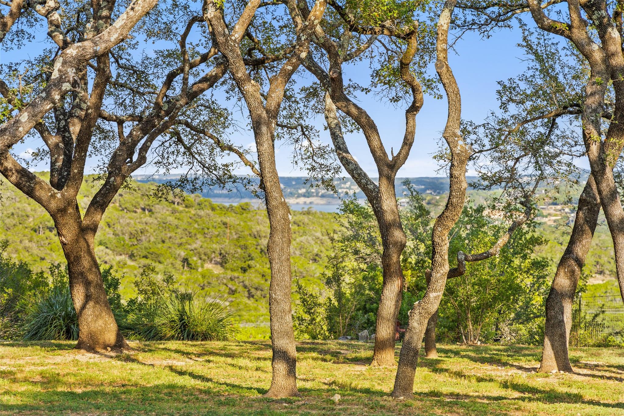 2412 Bee Creek Rd Property Photo 22