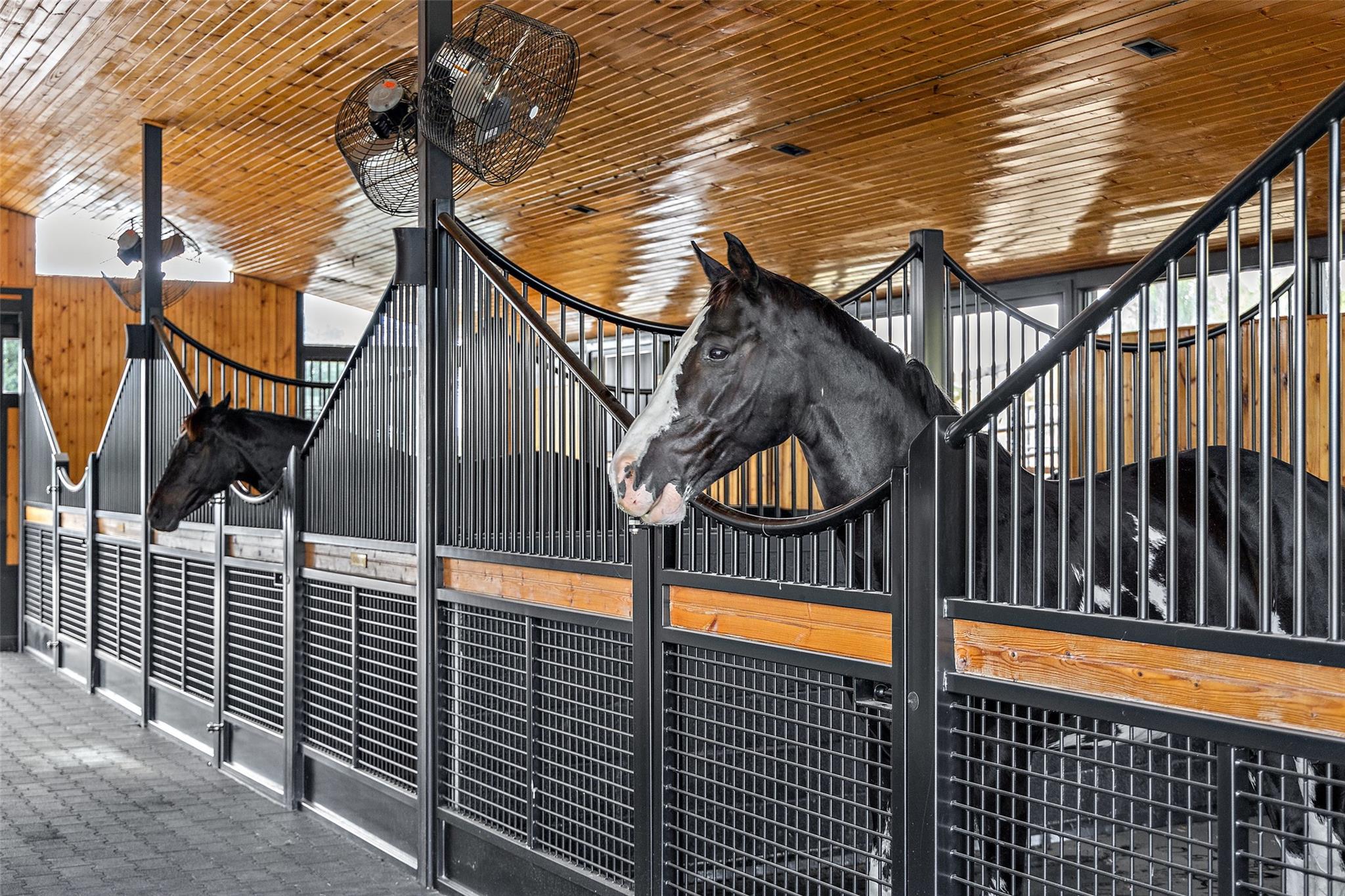 2412 Bee Creek Rd Property Photo 31