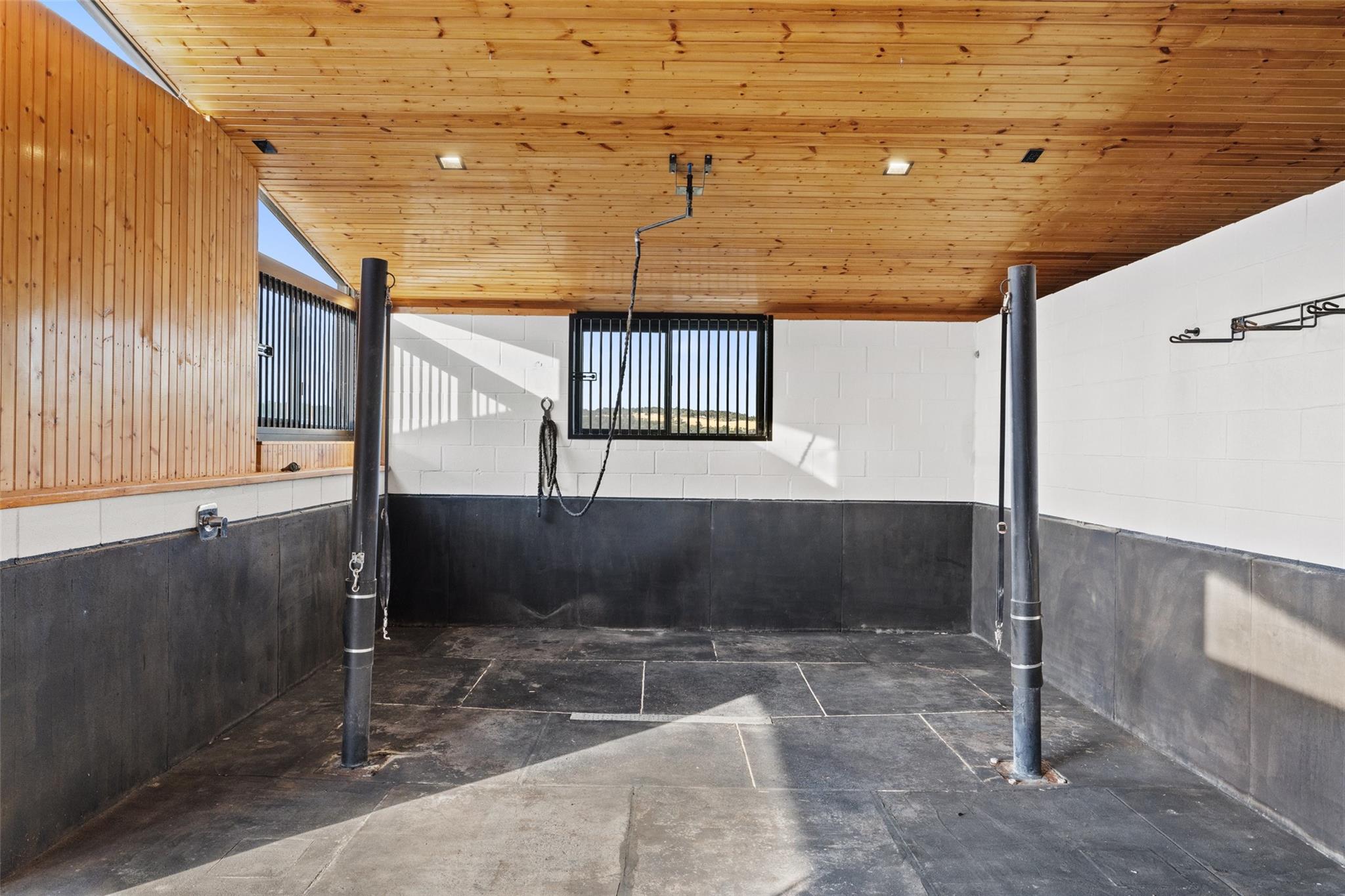 2412 Bee Creek Rd Property Photo 33