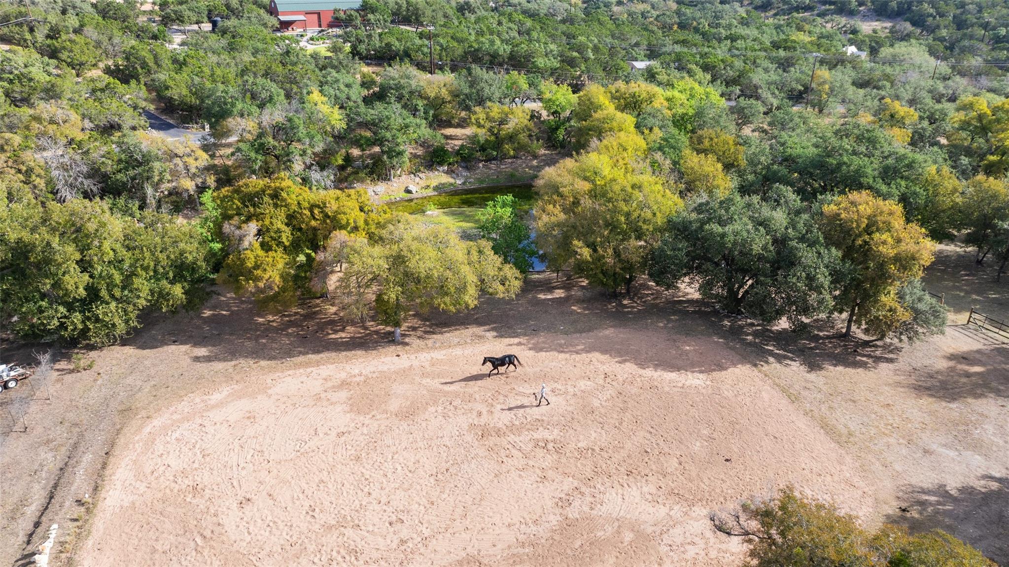 2412 Bee Creek Rd Property Photo 35