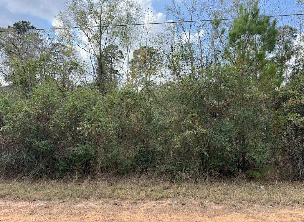 Lot 233 Makaha Dr Property Photo 2