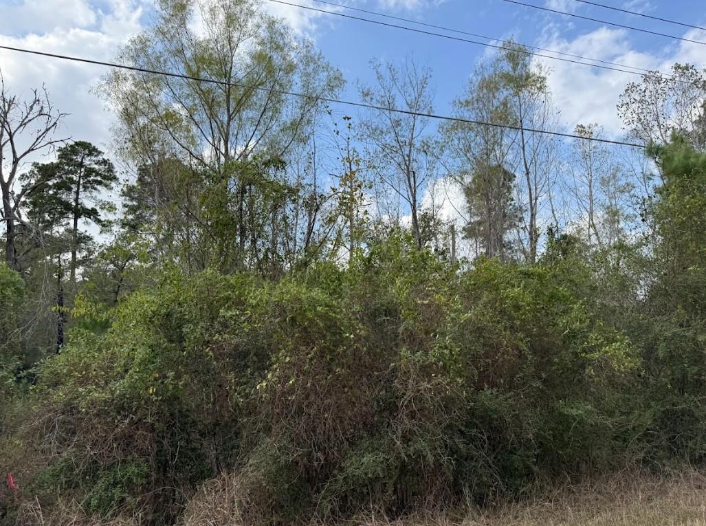 Lot 233 Makaha Dr Property Photo 3