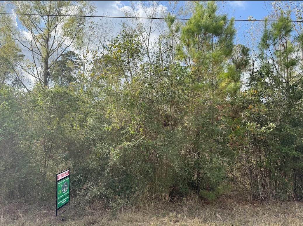 Lot 233 Makaha Dr Property Photo 4