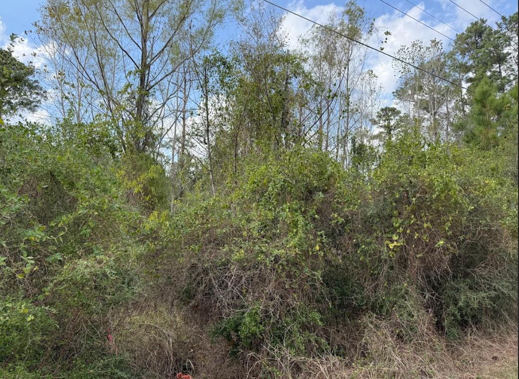 Lot 233 Makaha Dr Property Photo 8