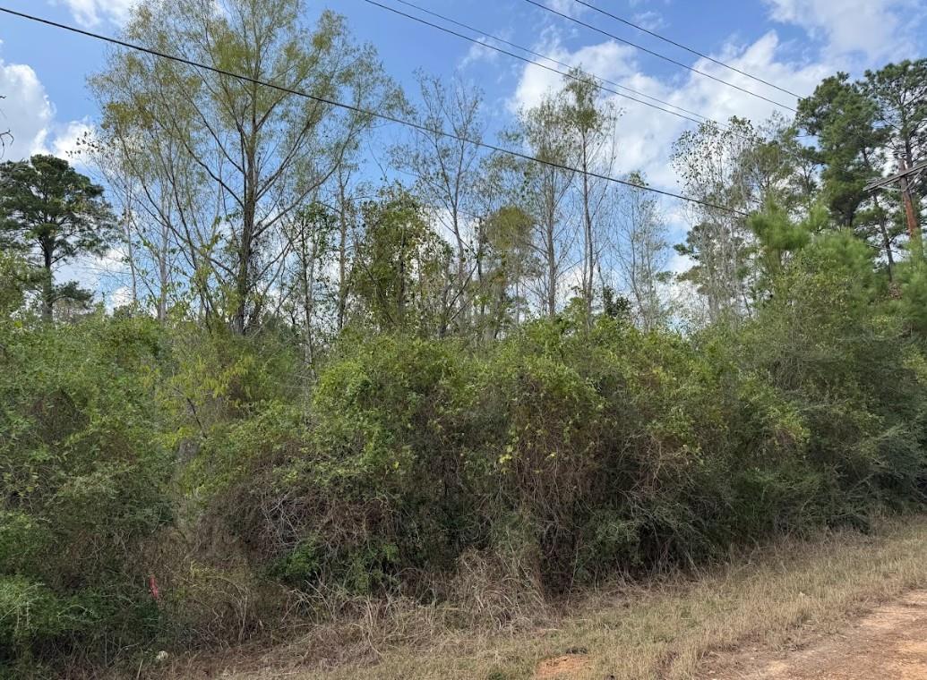 Lot 233 Makaha Dr Property Photo 14