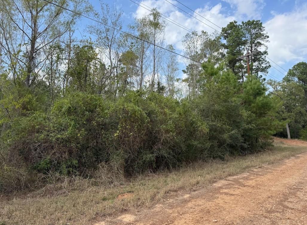 Lot 233 Makaha Dr Property Photo 15