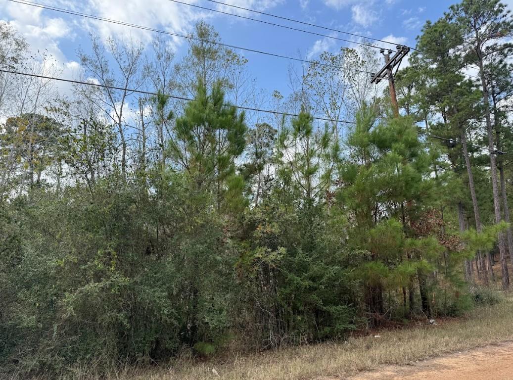 Lot 233 Makaha Dr Property Photo 16